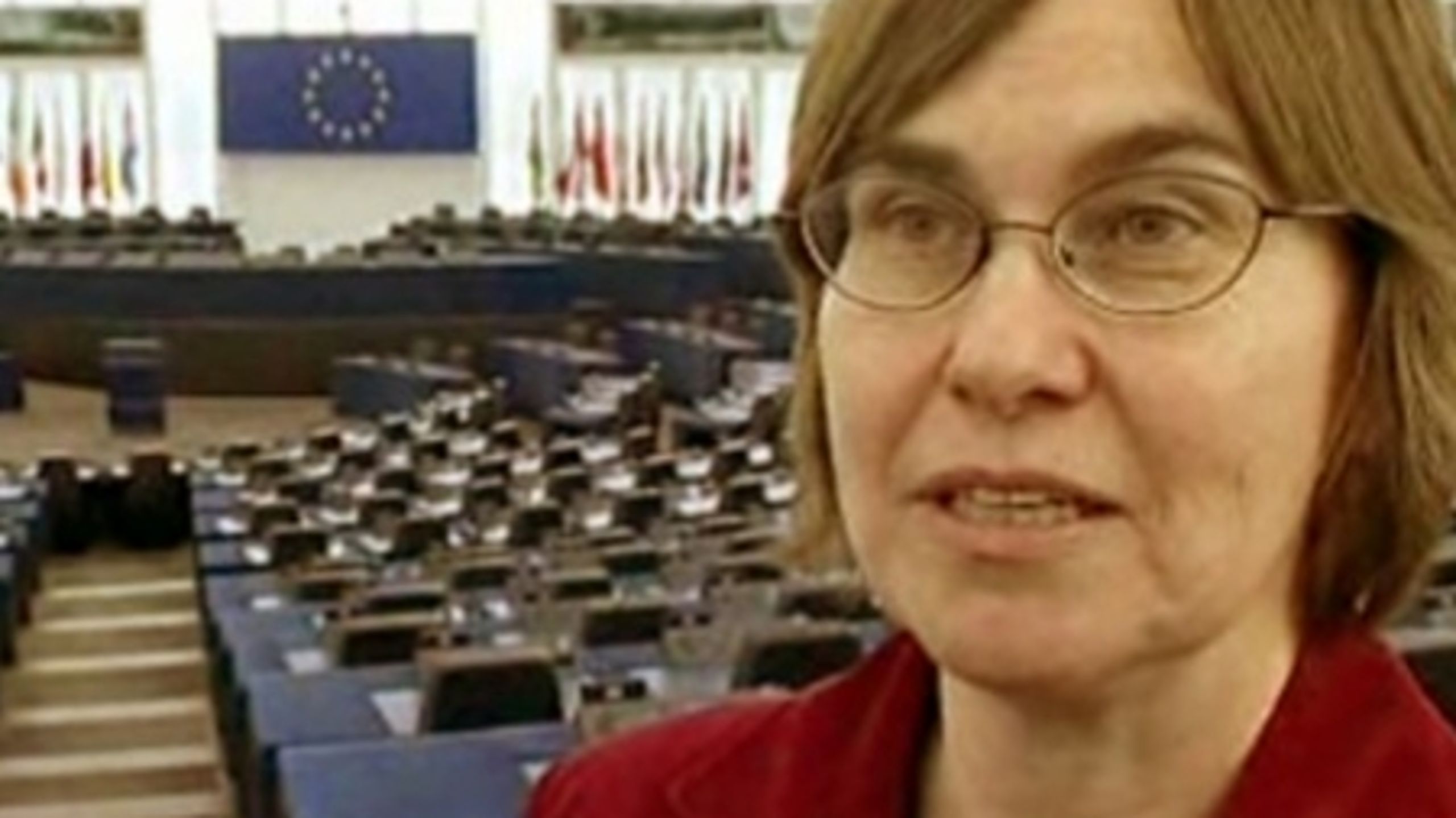 EU-veteranen Anne E. Jensen (V) er med til at forklare seerne, hvad Europa-Parlamentet betyder politisk for danskerne.