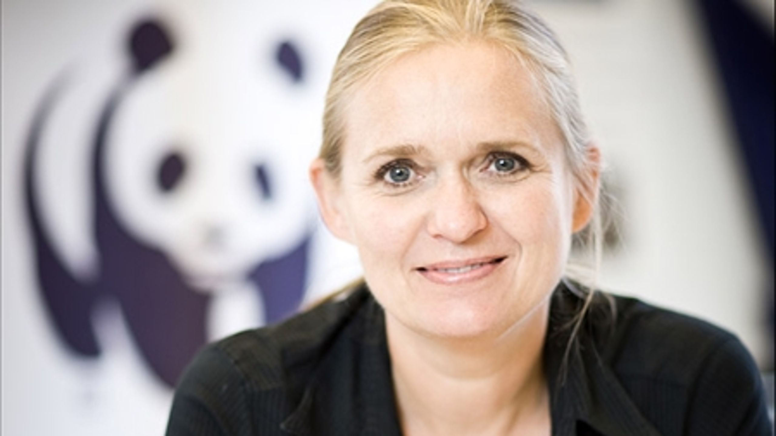 Gitte Seeberg, Generalsekretær i Verdensnaturfonden