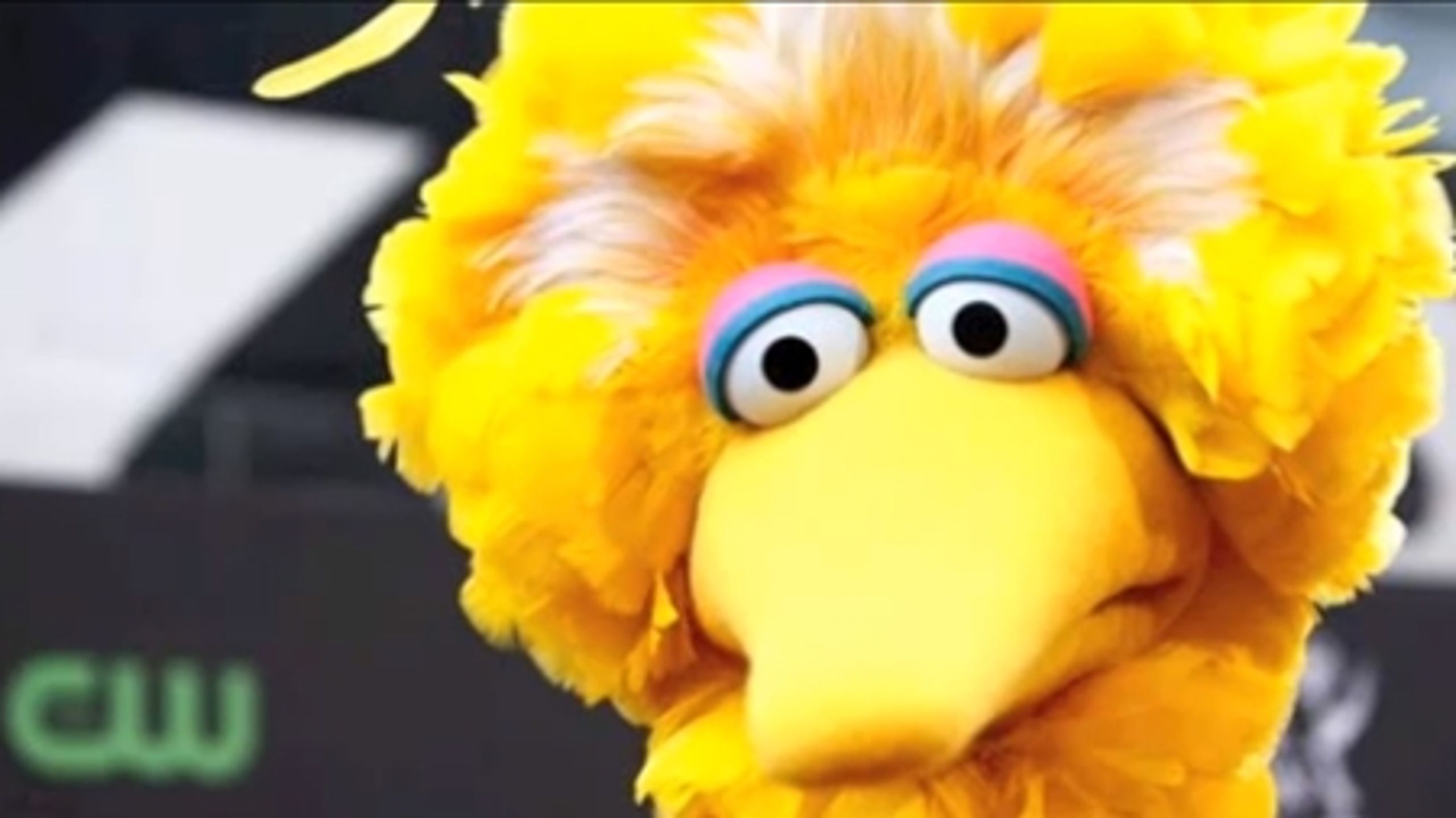 Big Bird fra ’Sesame Street’ blev i denne uge ufrivilligt blandet ind i valgkampen, efter at Mitt Romney
under sidste uges tv-debat proklamerede, at han ville fjerne den offentlige støtte til programmet.