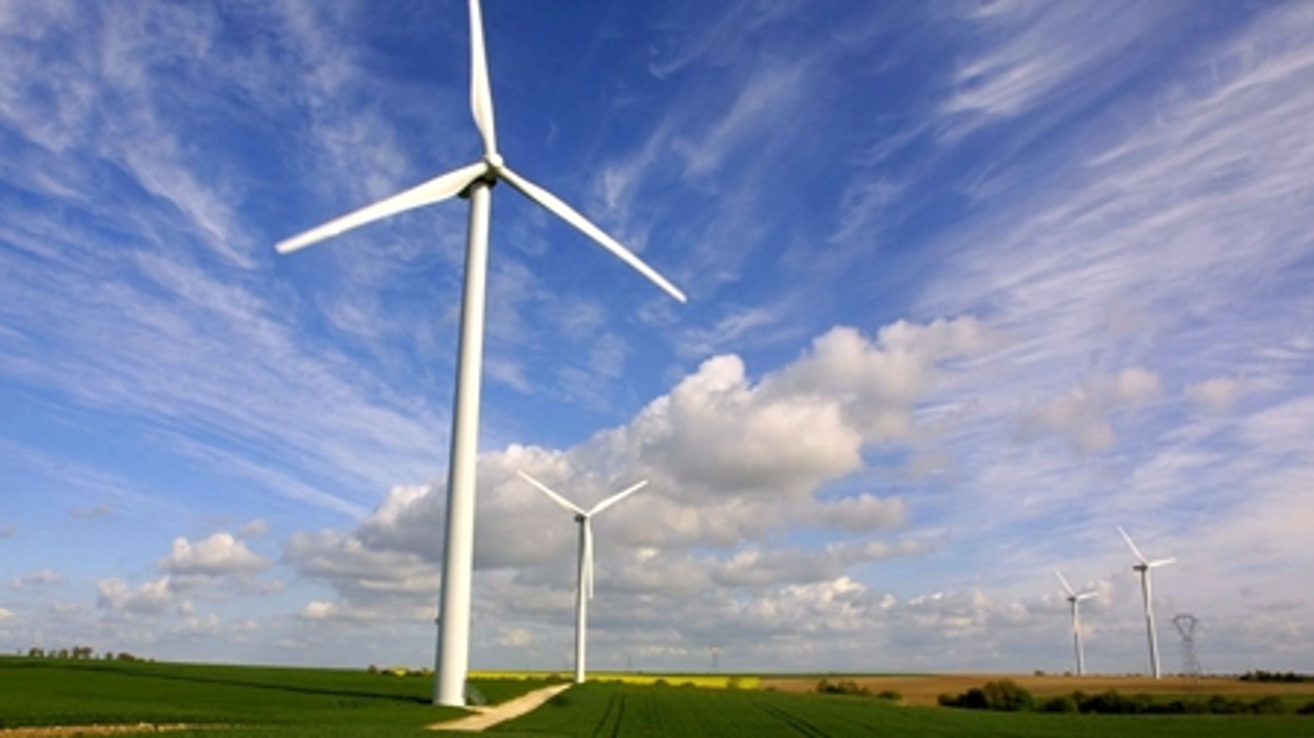 Befolkningen inddrages for sent, når nye vindmøller skal sættes op, siger Nordisk Center for Vedvarende Energi.
