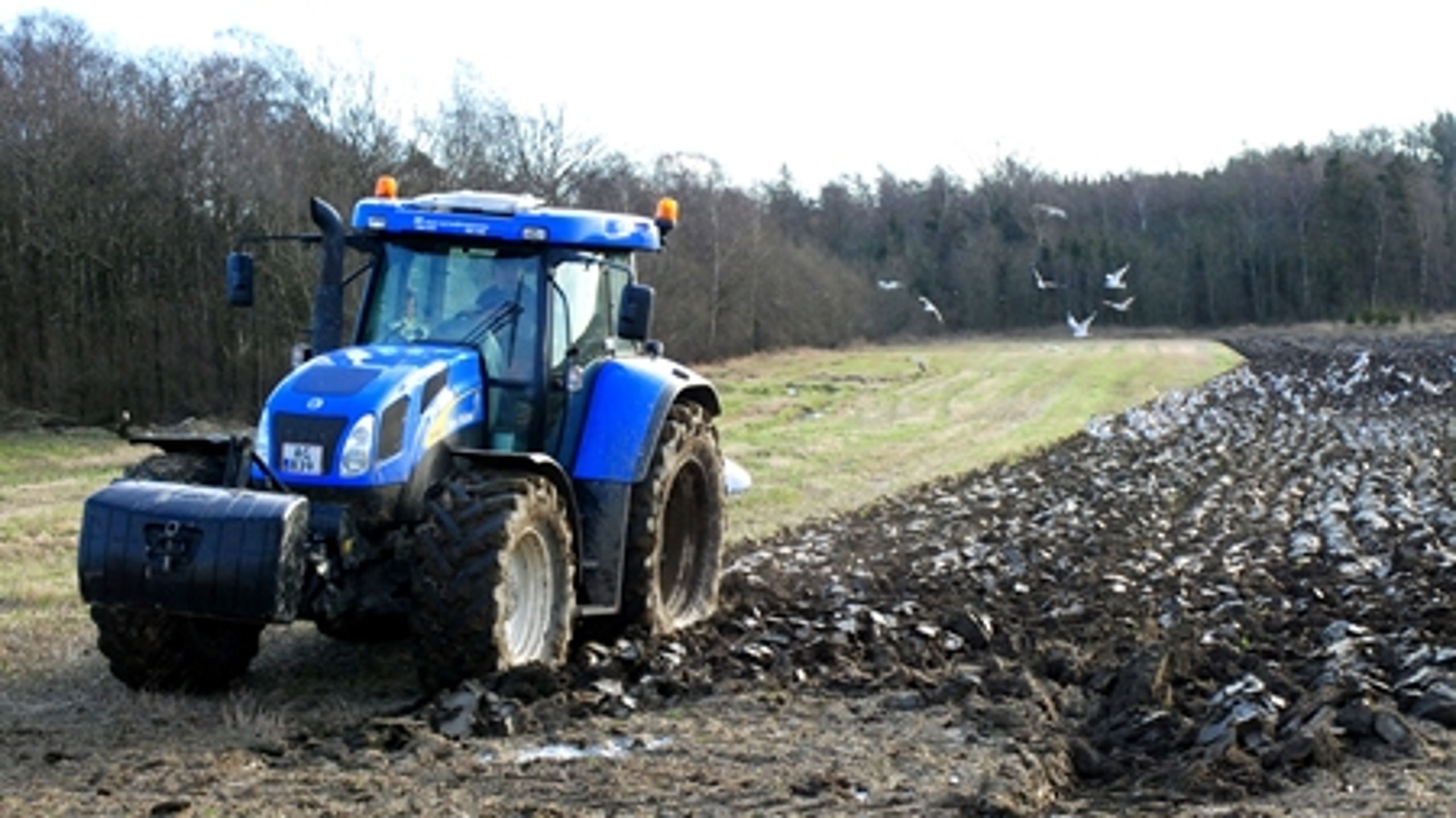 I 2008 lagde Folketinget sig fast på en strategi om at arbejde for en afvikling af EU's landbrugsstøtte inden 2025.