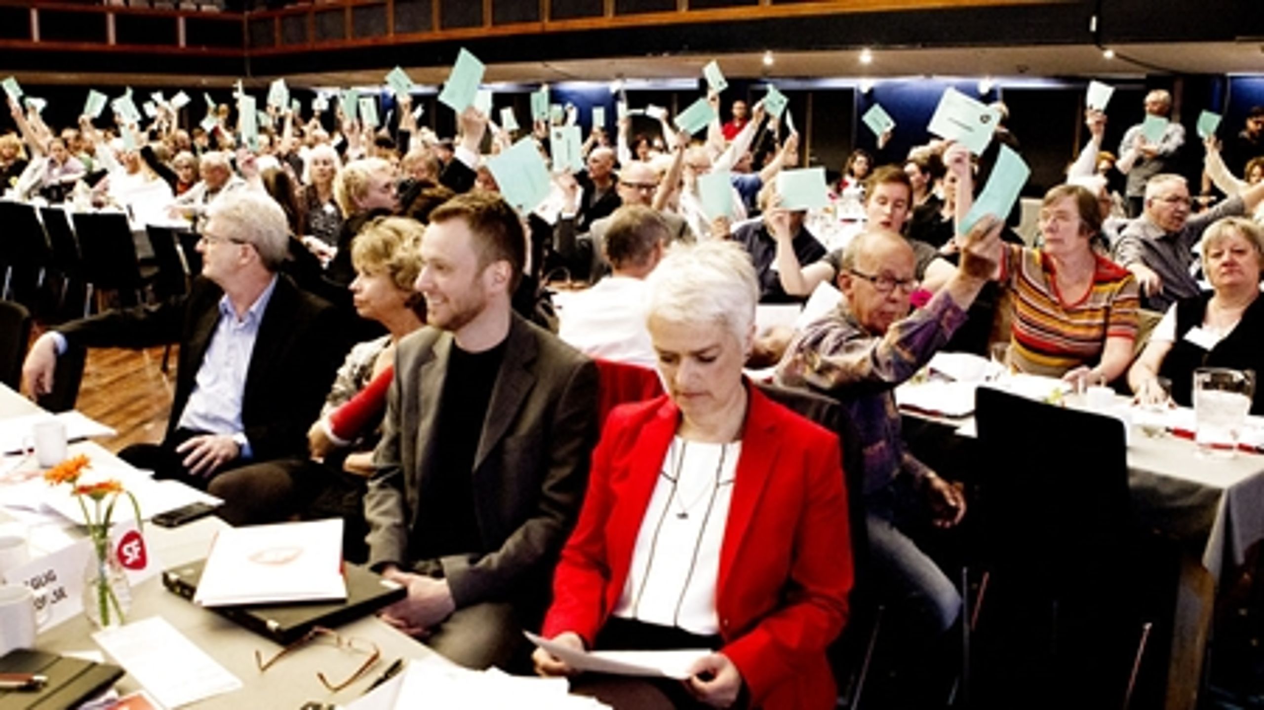 En samlet SF-ledelse blev søndag stemt ned i spørgsmålet om en ny offentlighedslov.