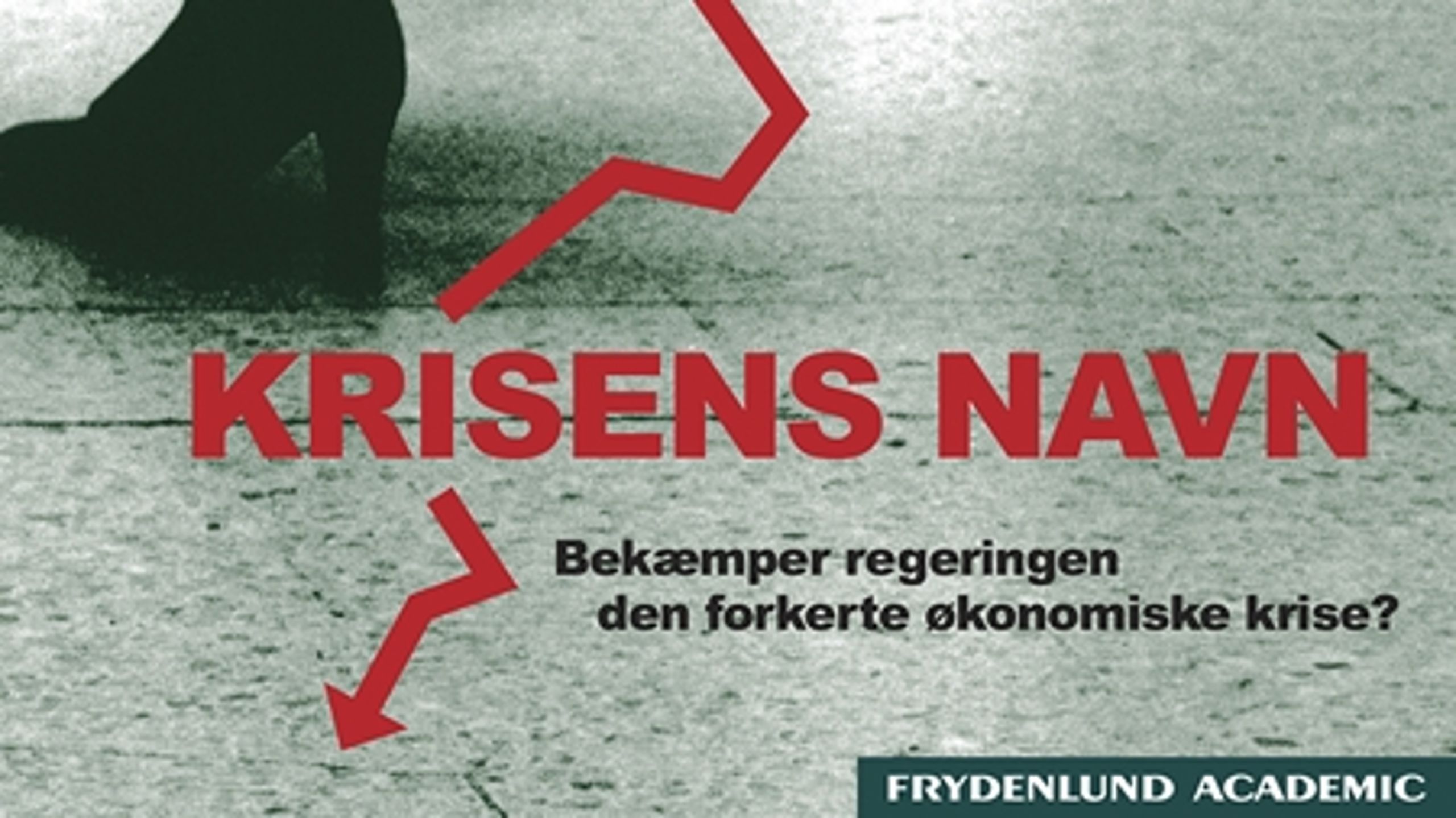 De danske politikere har et stort medansvar for, at krisen ramte Danmark ekstra hårdt, og at den varer så længe. Det mener professor Jørgen Goul Andersen, der i næste uge udgiver bogen "Krisens navn". 