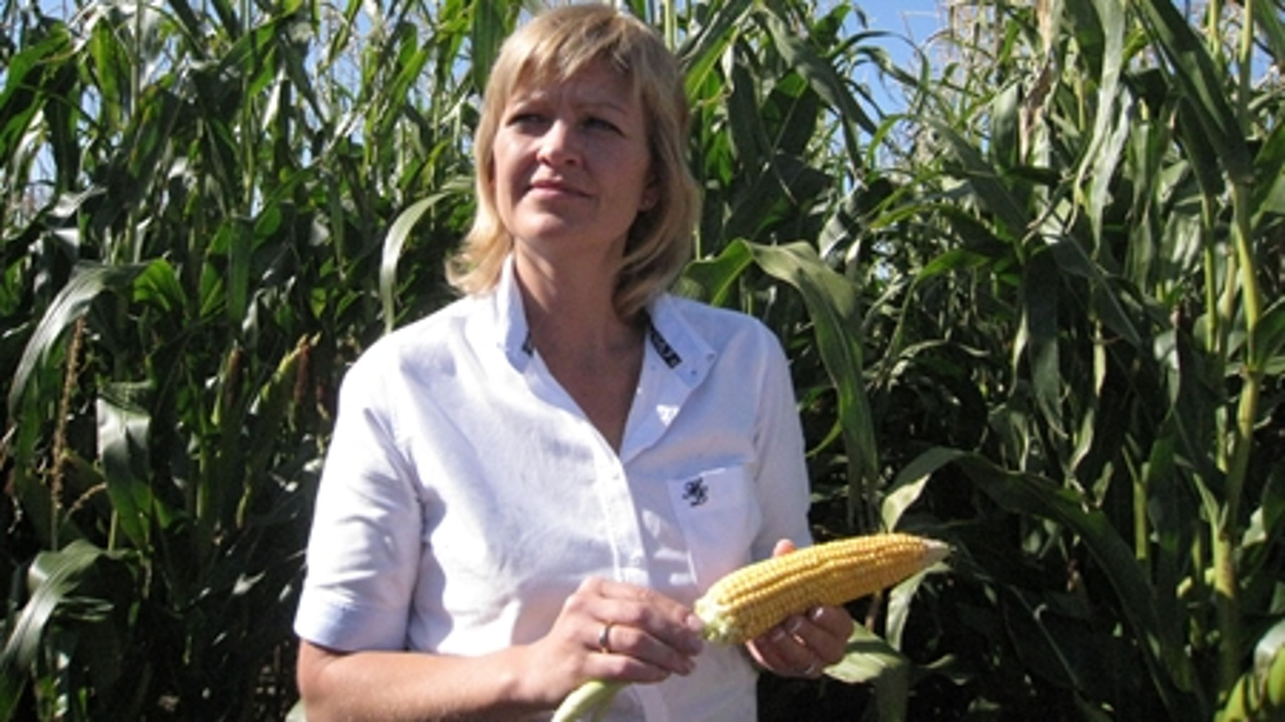 Et flertal i Folketinget uden om regeringen blev i 2008 enige om at pålægge daværende fødevareminister, Eva Kjer Hansen (V), at arbejde imod GMO-produkter med visse antibiotikaresistente gener.