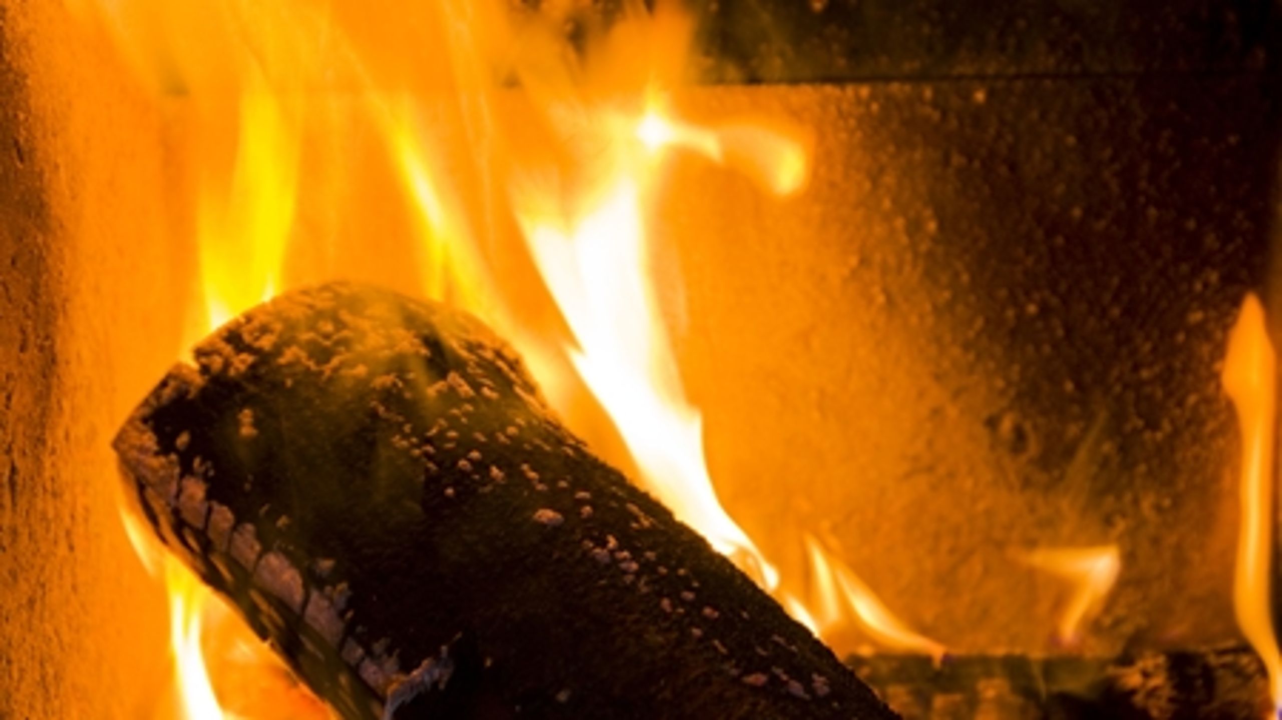 Konservative har nedlagt veto over for regeringens forslag om brændebeskatning.