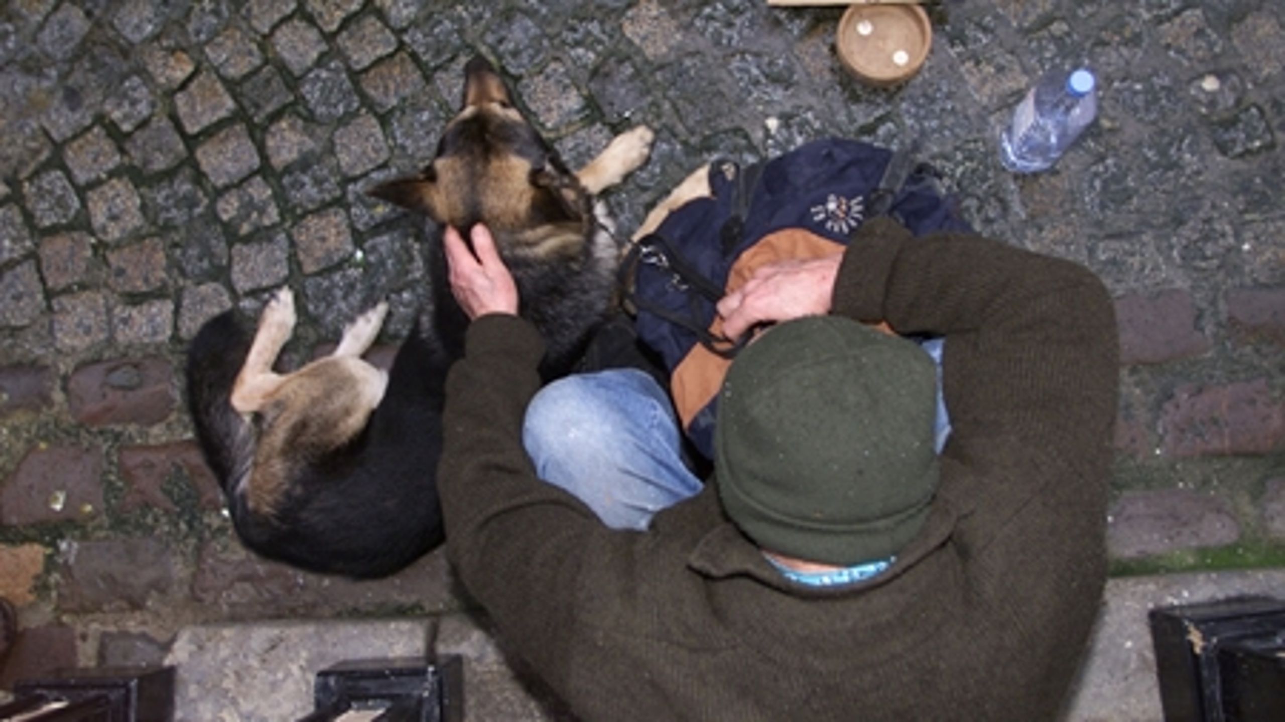Flere organisationer frygter, at kontanthjælpsreformen vil gøre endnu flere hjemløse i 2014.