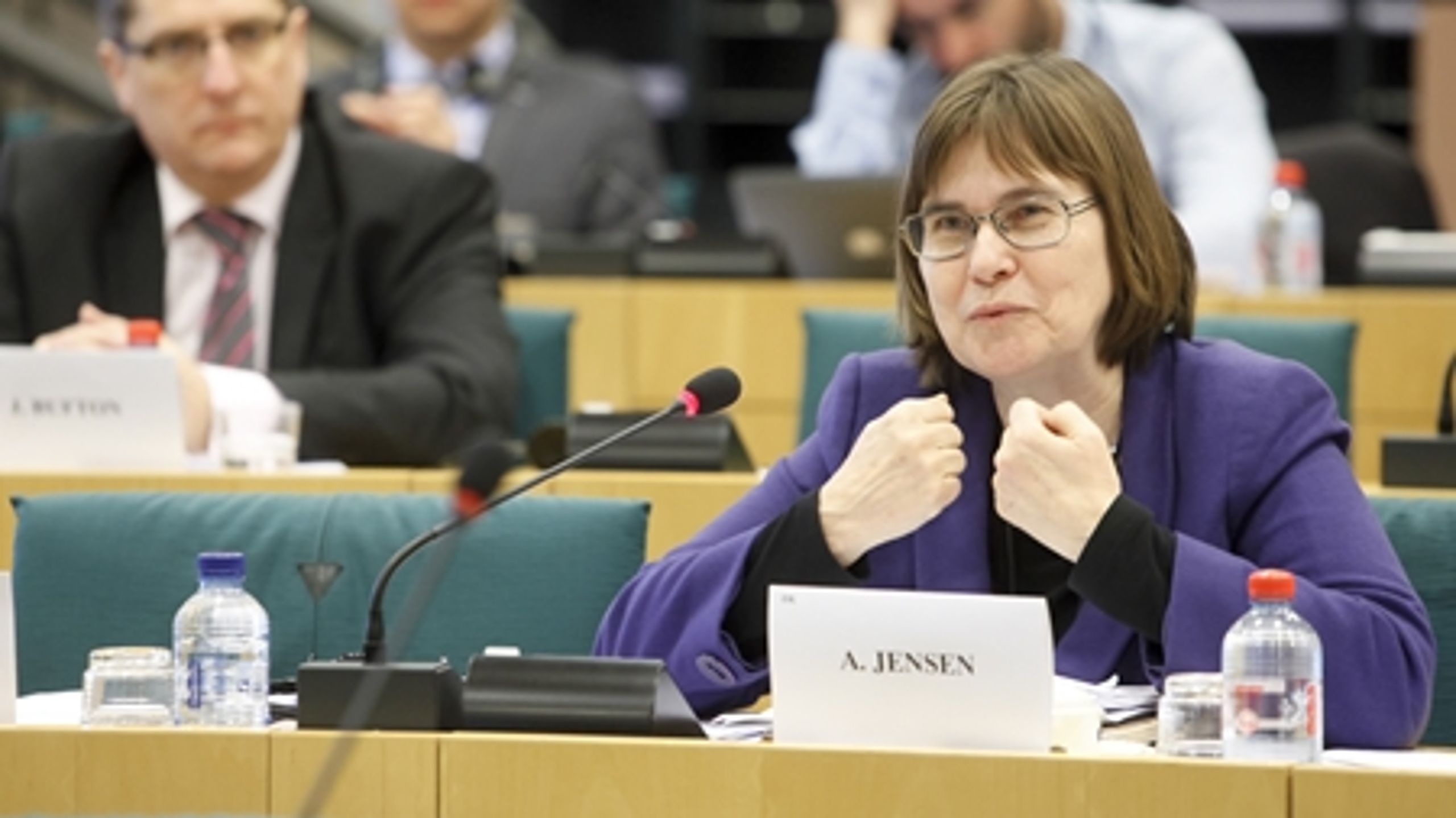 Foruden sin post i Europa-Parlamentet har Anne E. Jensen siddet i kommunalbestyrelsen i Kalundborg Kommune siden 2009. Samtidig er hun formand for Europabevægelsen.