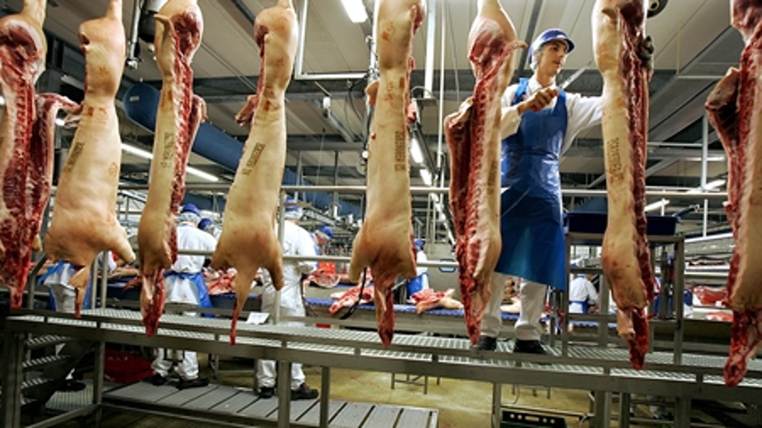 Danish Crowns slagteri bliver reddet af en nyt såkaldt medarbejderinvesteringsselskab. Lovgivingen skal dog først lige på plads.