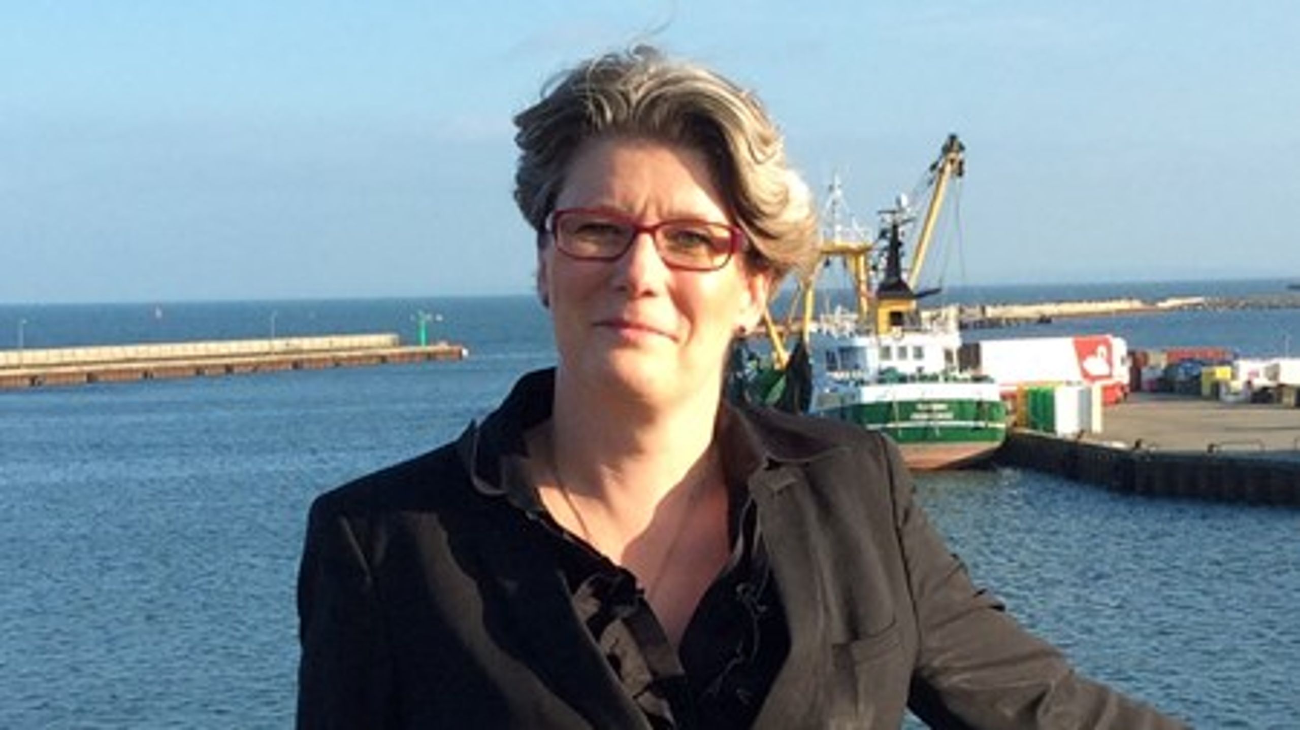 Gitte Lillelund Bech har været&nbsp;direktør for Danske Havne siden 1. august.