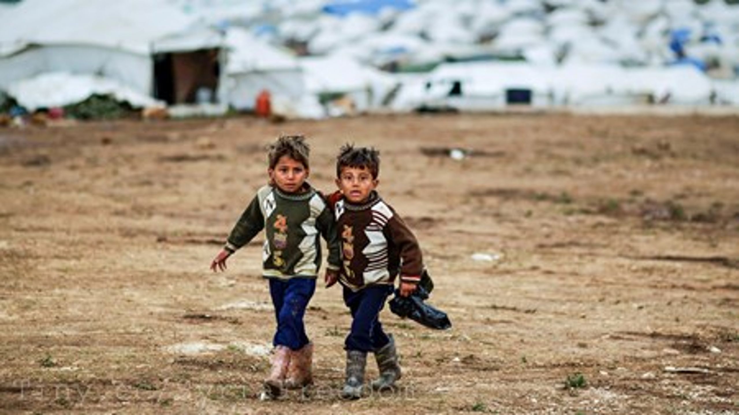 Dansk Flygtningehjælp forventer over en halv million asylansøgere til Europa i 2014.
