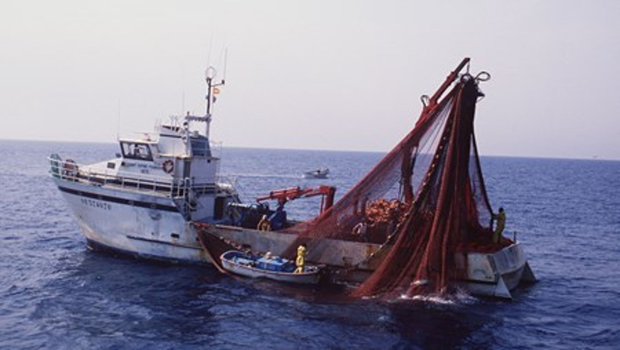 Greenpeace og WWF Verdensnaturfonden frygter, at nogle af de kommende EU-midler kan gå til, at trawlfartøjer kan fange flere fisk og få større trækkraft.&nbsp;