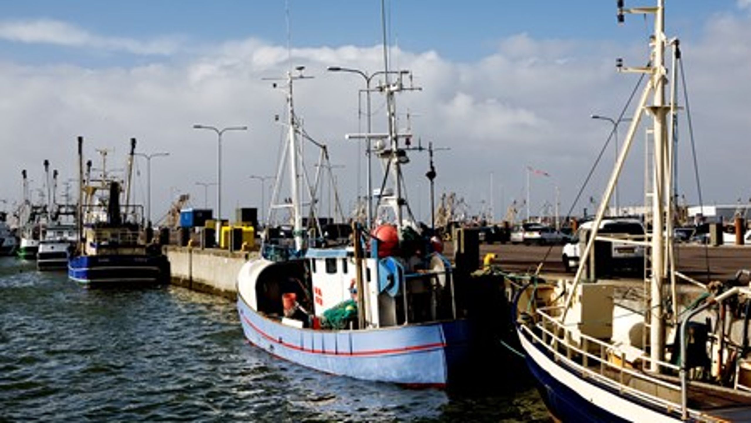 1. januar 2015 træder de nye discardplaner i kraft for fiskere i EU.