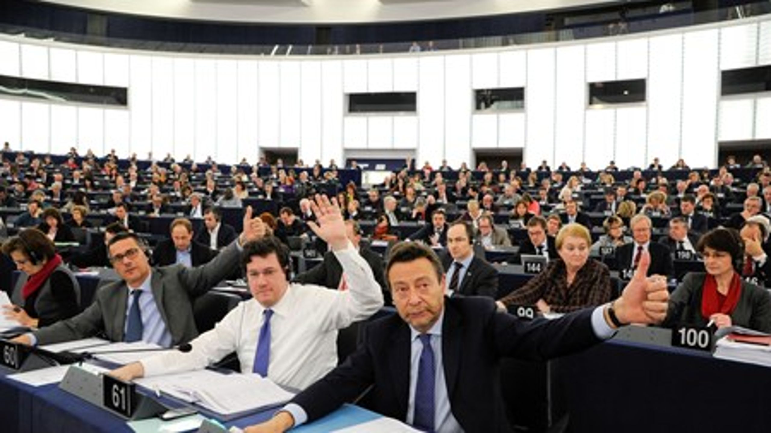 EU-parlamentarikerne har endnu ikke besluttet sig til, om de vil vende tommelfingeren op eller ned til EU-Kommissionens såkaldte dødsliste.