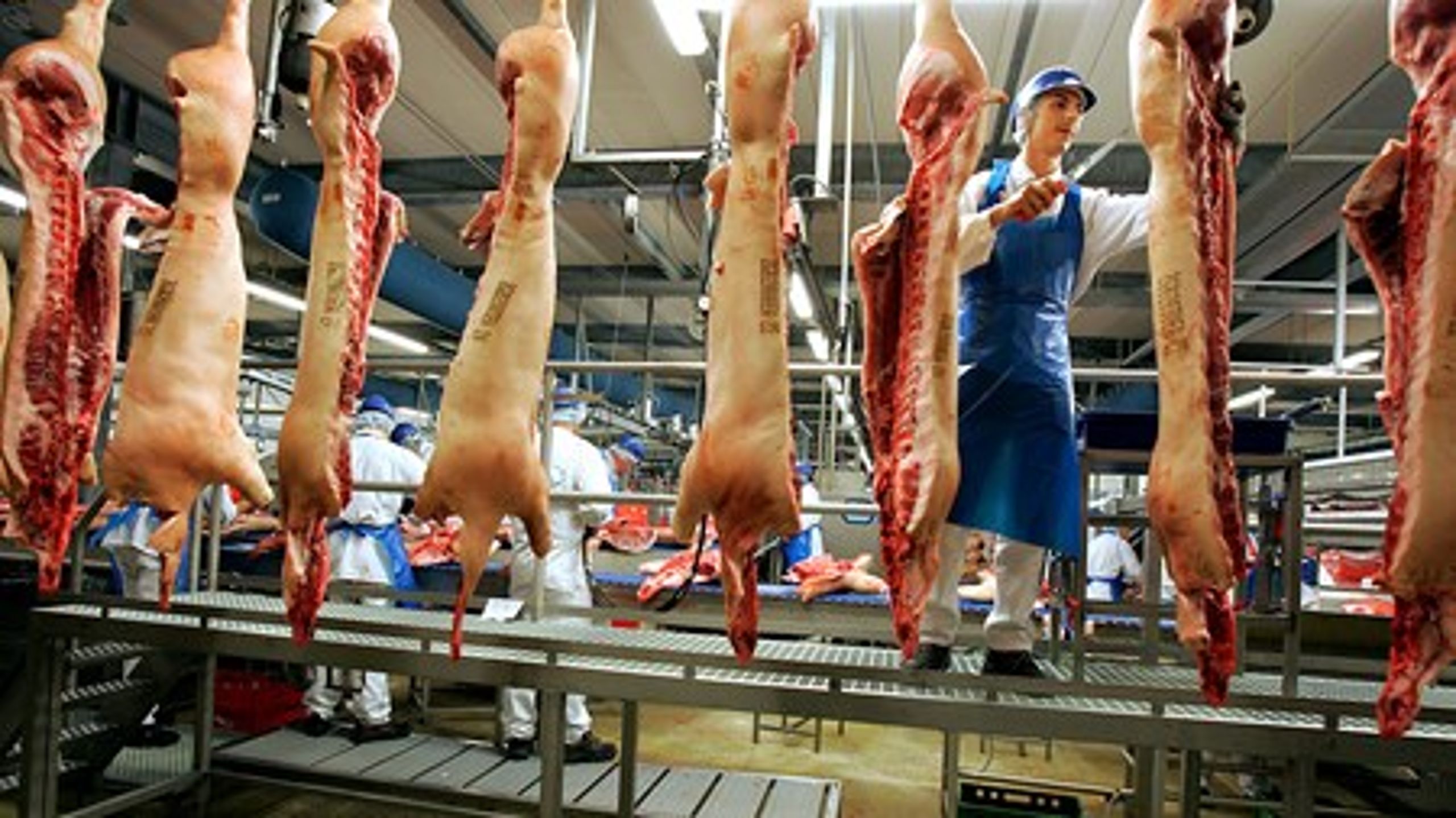 De nuværende regler for tildeling af gratis CO2-kvoter rammer de danske slagterier, mener Landbrug &amp; Fødevarer.
