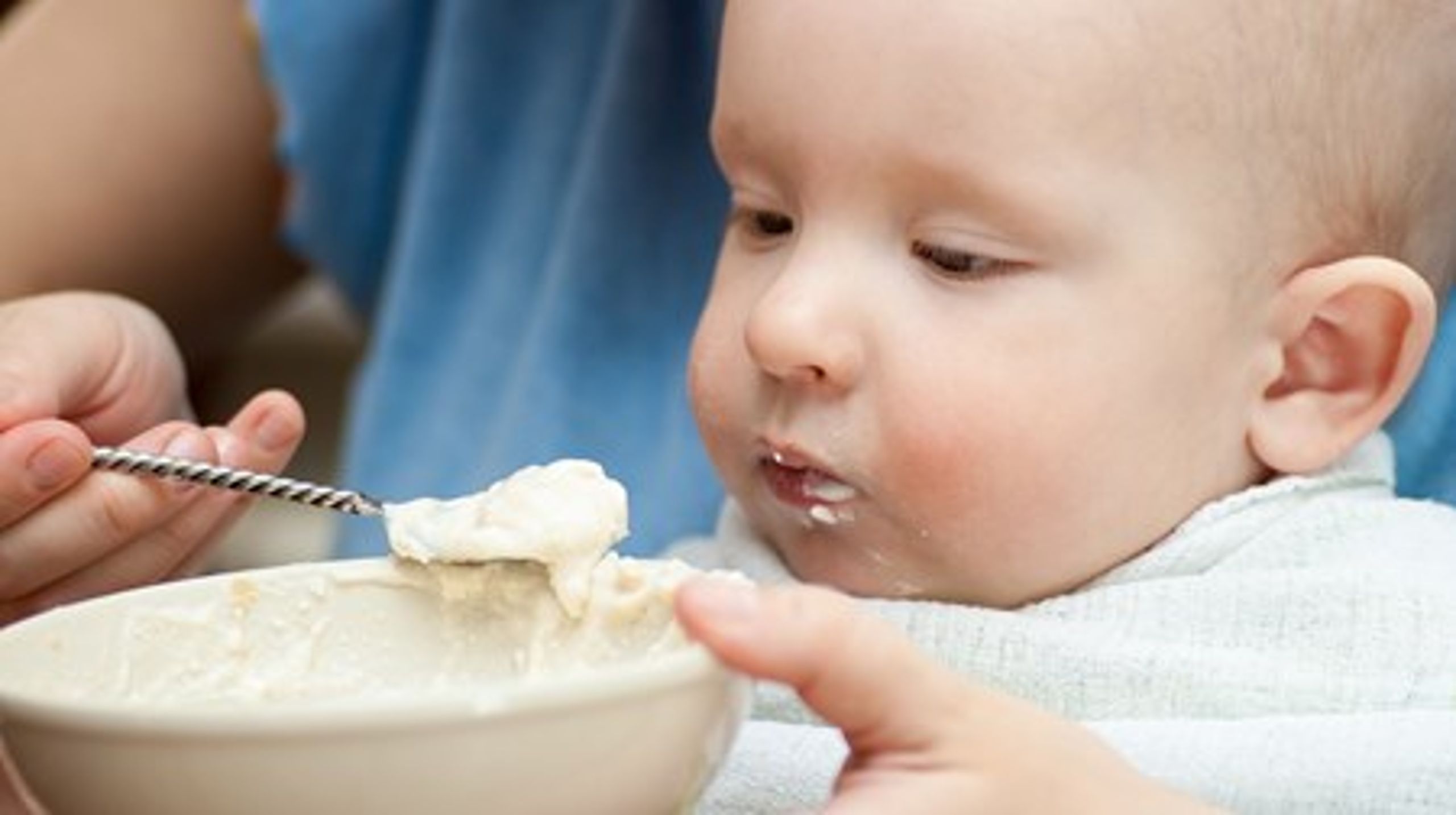 DTU Fødevareinstituttet mener, at man skal ned på en lavere grænseværdi af tropanalkaloider, hvis man skal være sikker på ikke at overskride den akutte referencedosis for små børn, der flere gange dagligt spiser en del af den grød, der kan indeholde de giftige stoffer.