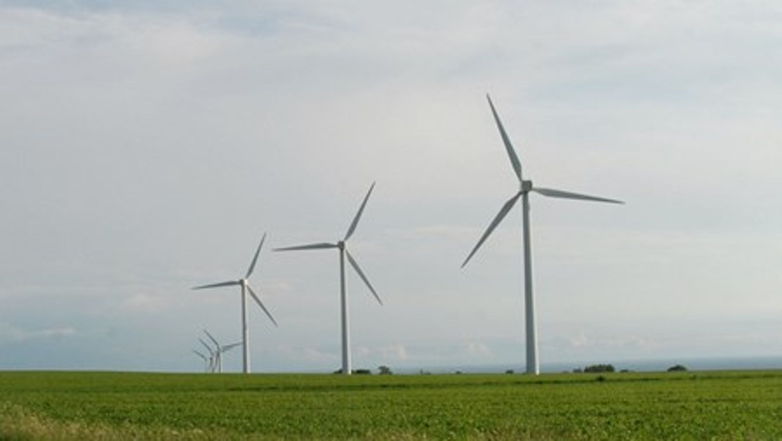 Landsforeningen Naboer til Kæmpevindmøller går i rette med&nbsp;Danmarks Vindmølleforening, som mener, at vindmøllemodstanderne spreder misinformation i debatten om danskernes brug af&nbsp;vindmøllestrøm.