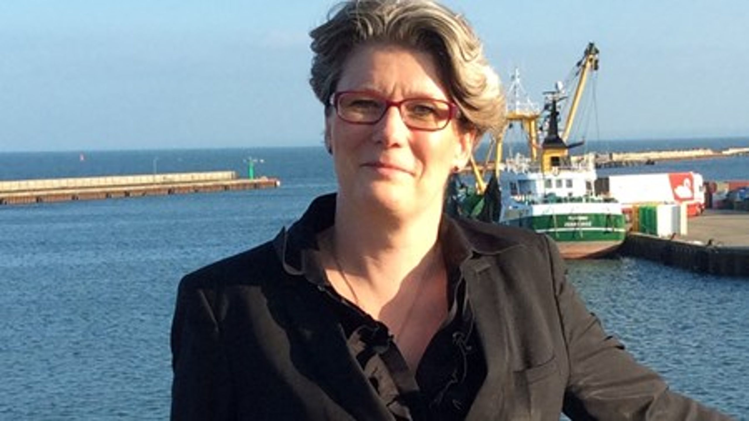 Det kræver en ny havnelov, hvis danske erhvervshavne fortsat skal skabe vækst og beskæftigelse i hele Danmark, skriver Gitte Lillelund Bech, direktør i Danske Havne.