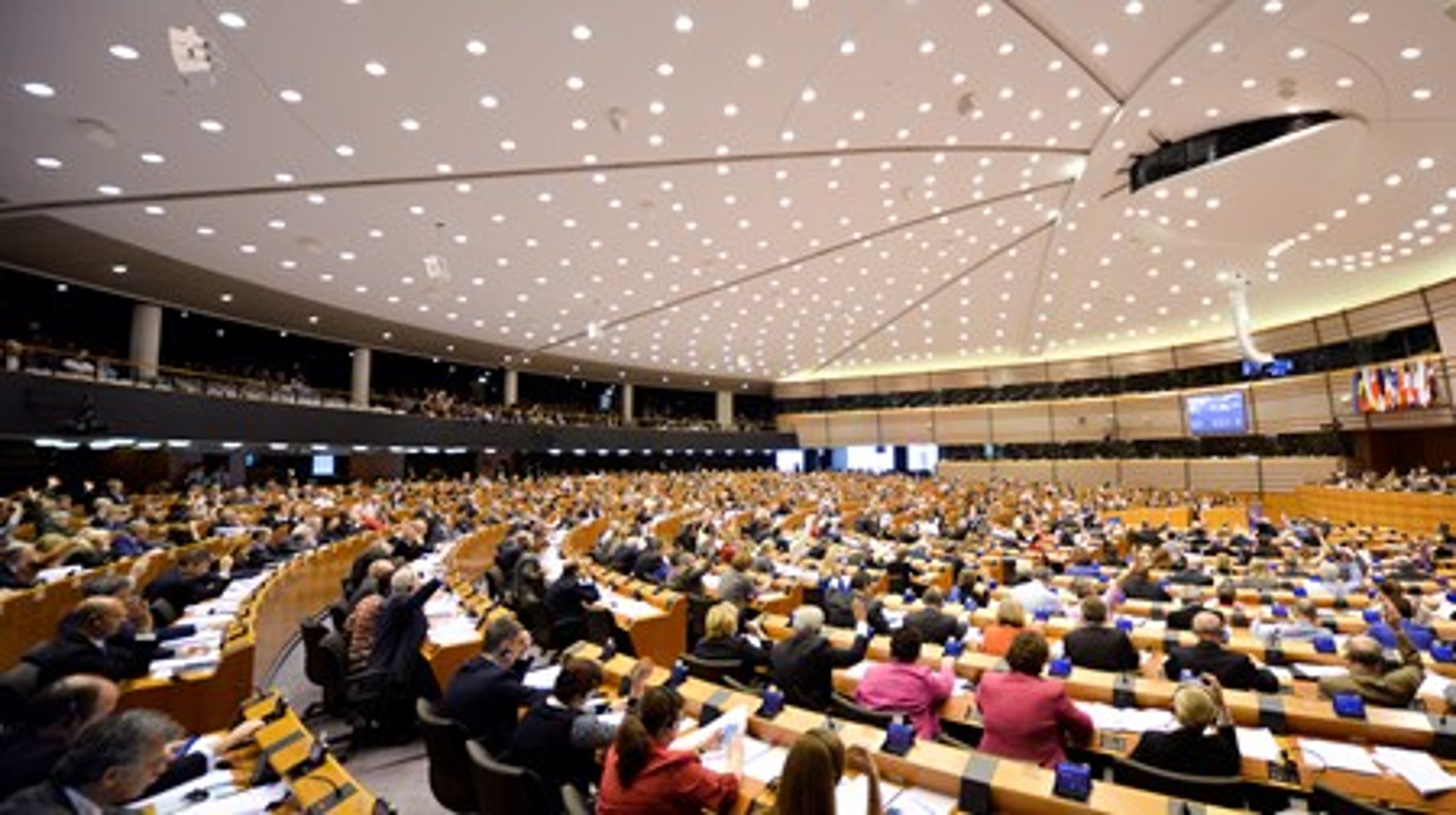 Europa-Parlamentet på hjemmebane.