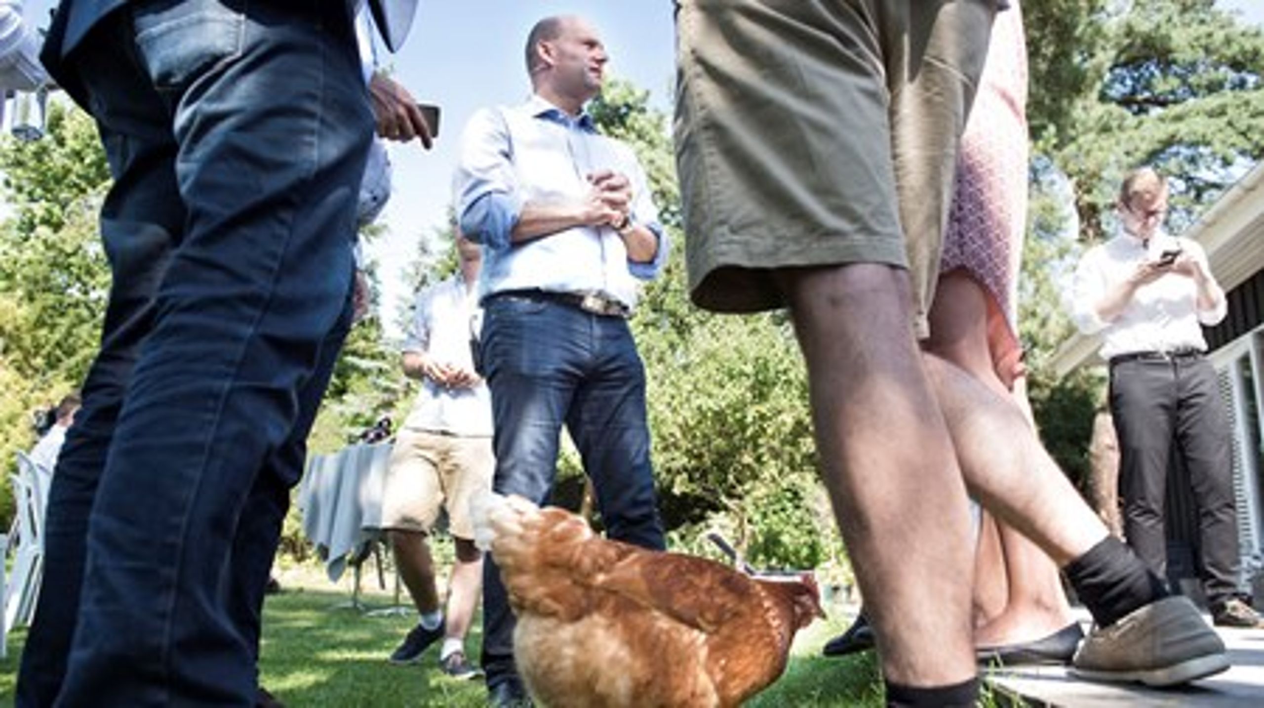 Konservative holdt torsdag middag pressemøde i en privat baghave i Snekkersten, hvor&nbsp;høns gik frit rundt mellem fødderne på de fremmødte.&nbsp;