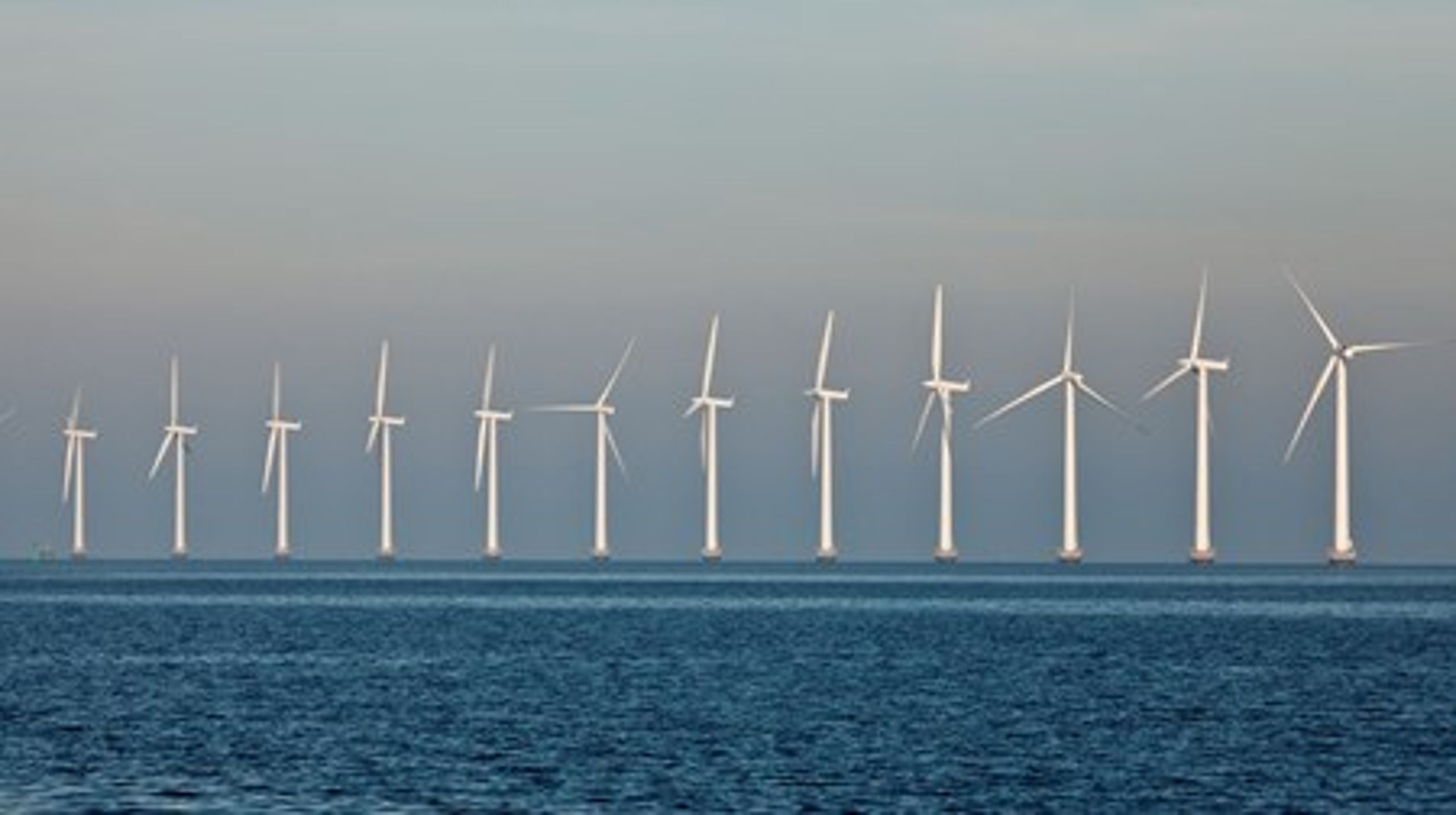 Eksport af vind er reelt en håndsrækning til vindmøllesektoren om at komme ind i kampen og medvirke til at sætte forbrug af grøn strøm i Danmark på dagsordenen, skriver Dansk Fjernvarme og Grøn Energi.