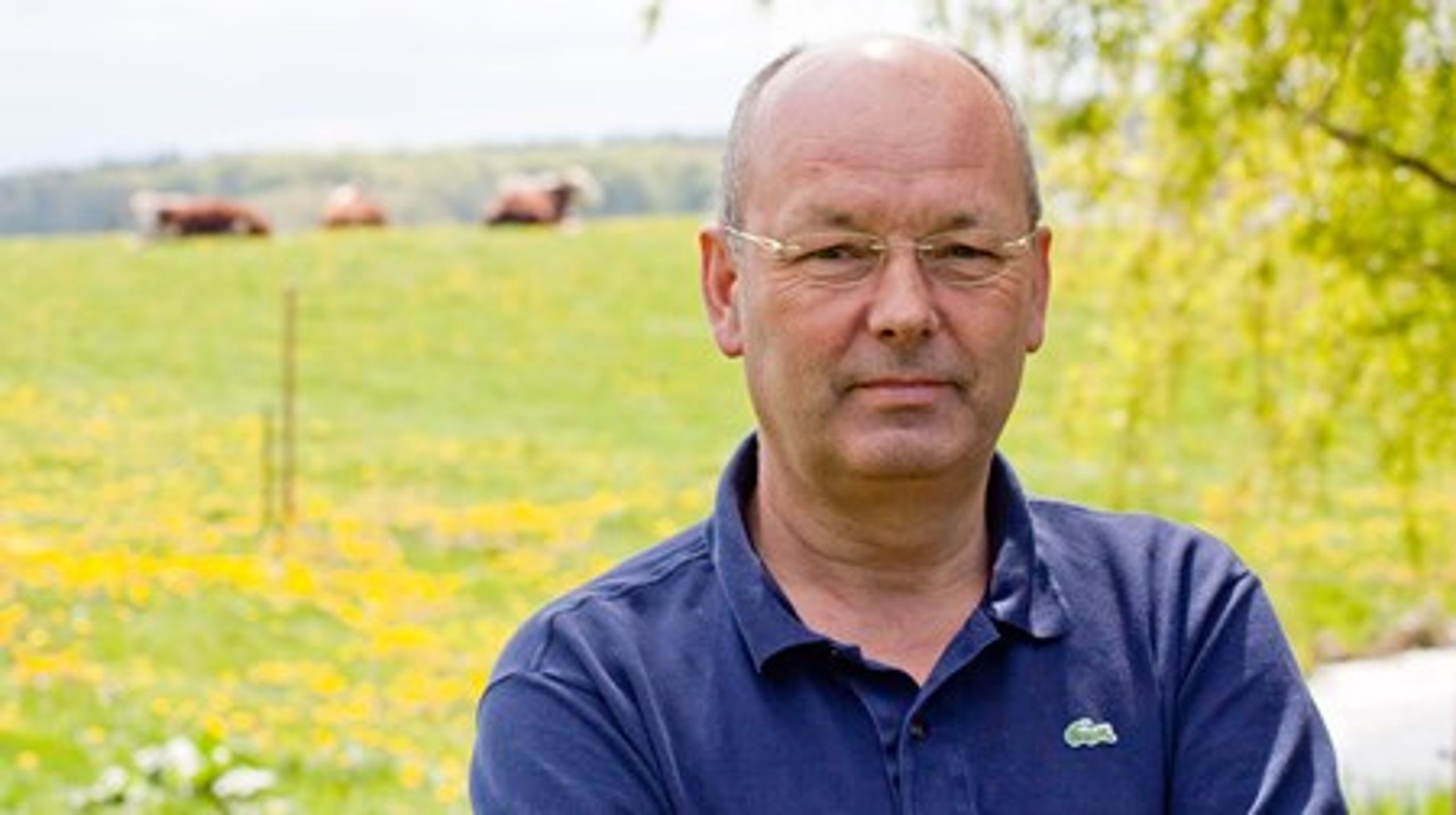 Vagn Lundsteen stiftede oprindeligt Bæredygtigt Landbrug og var direktør de første fire år. I dag er han direktør i sit eget rådgivningsselskab.