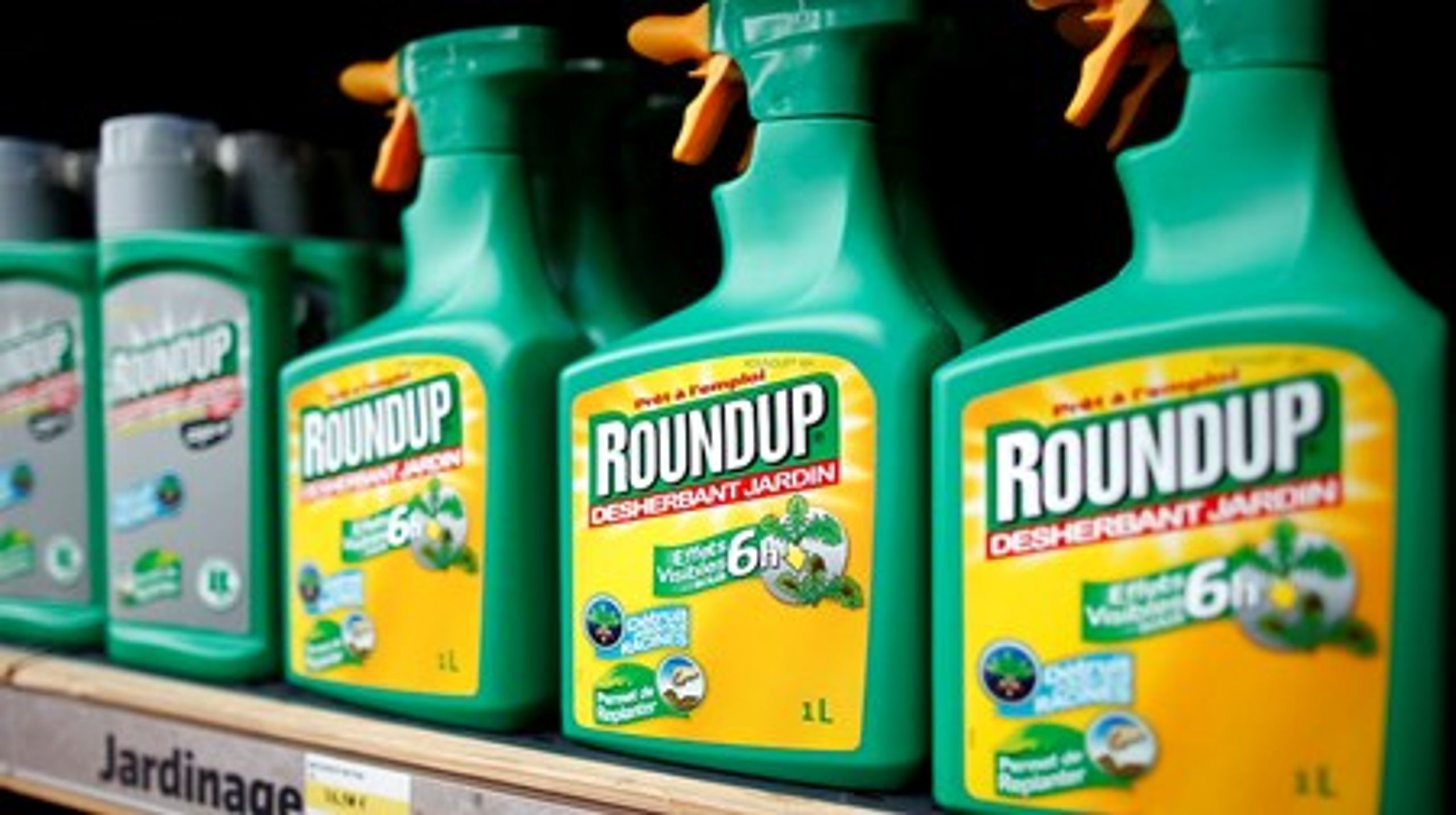 Glyphosat er aktivstoffet i det populære ukrudtsmiddel Roundup.