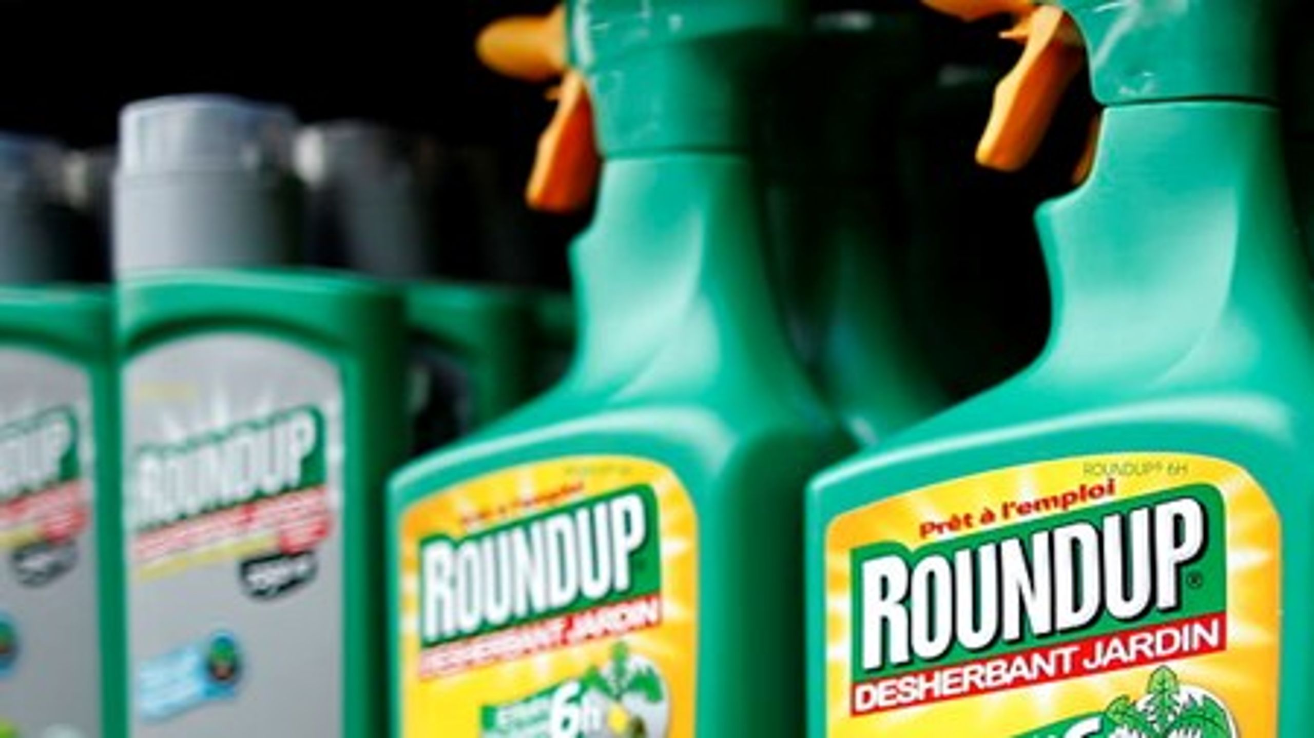 Europa-parlamentarikerne vil tage Roundup fra haveejerne ved at forbyde aktivstoffet glyphosat til privat brug.
