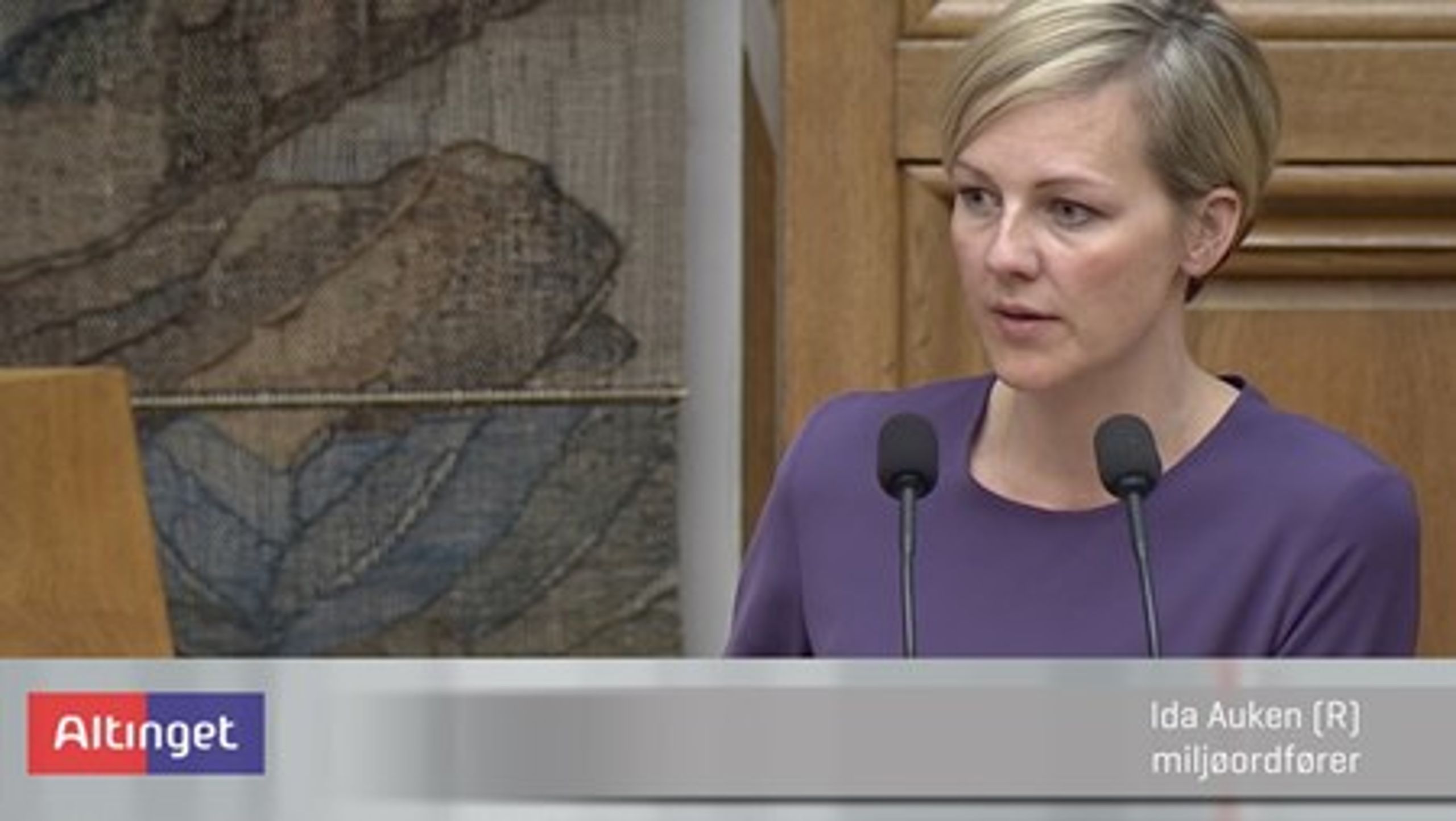 Ida Auken (R) på Folketingets talerstol natten til onsdag 20 april 2016.