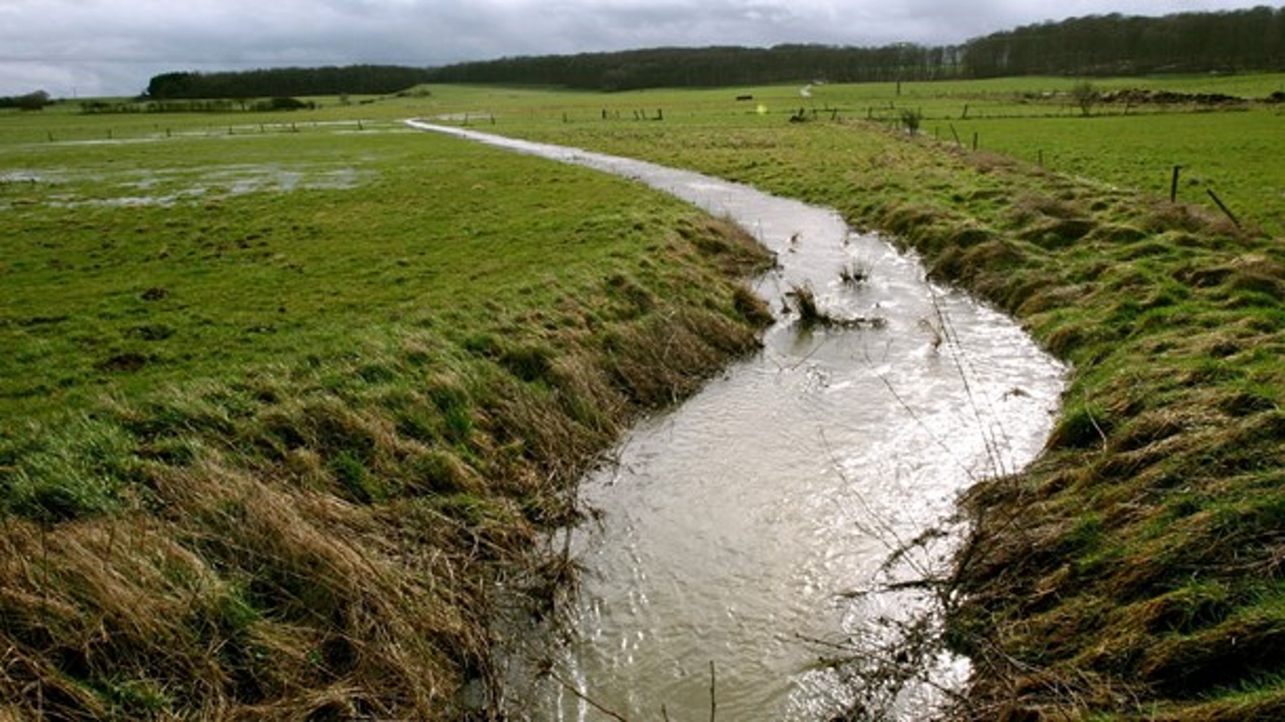 Kommuner har siden den 1. august kunne søge om tilskud til vandmiljøforbedringer.
