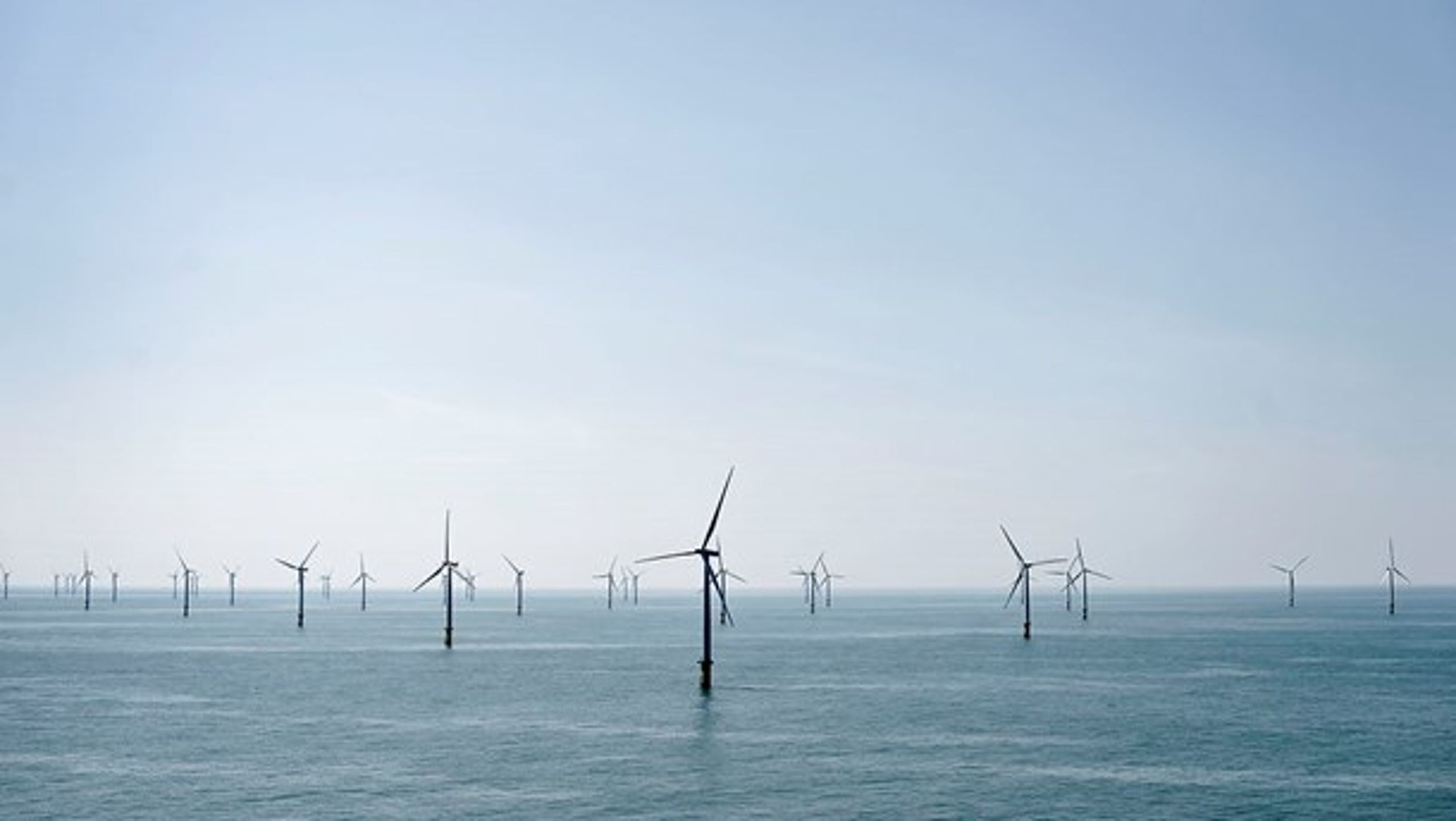 Det er planen, at de&nbsp;kystnære vindmølleparker skal opføres på den jyske vestkyst.&nbsp;