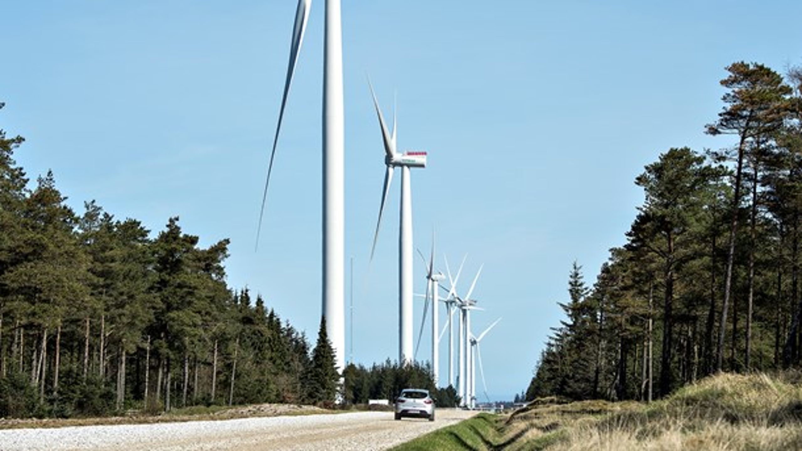 Regeringen vil gøre det nemmere at opstille vindmøller i skovene. Her er en vindmølle fra Testcenteret Østerild i Nordjylland.