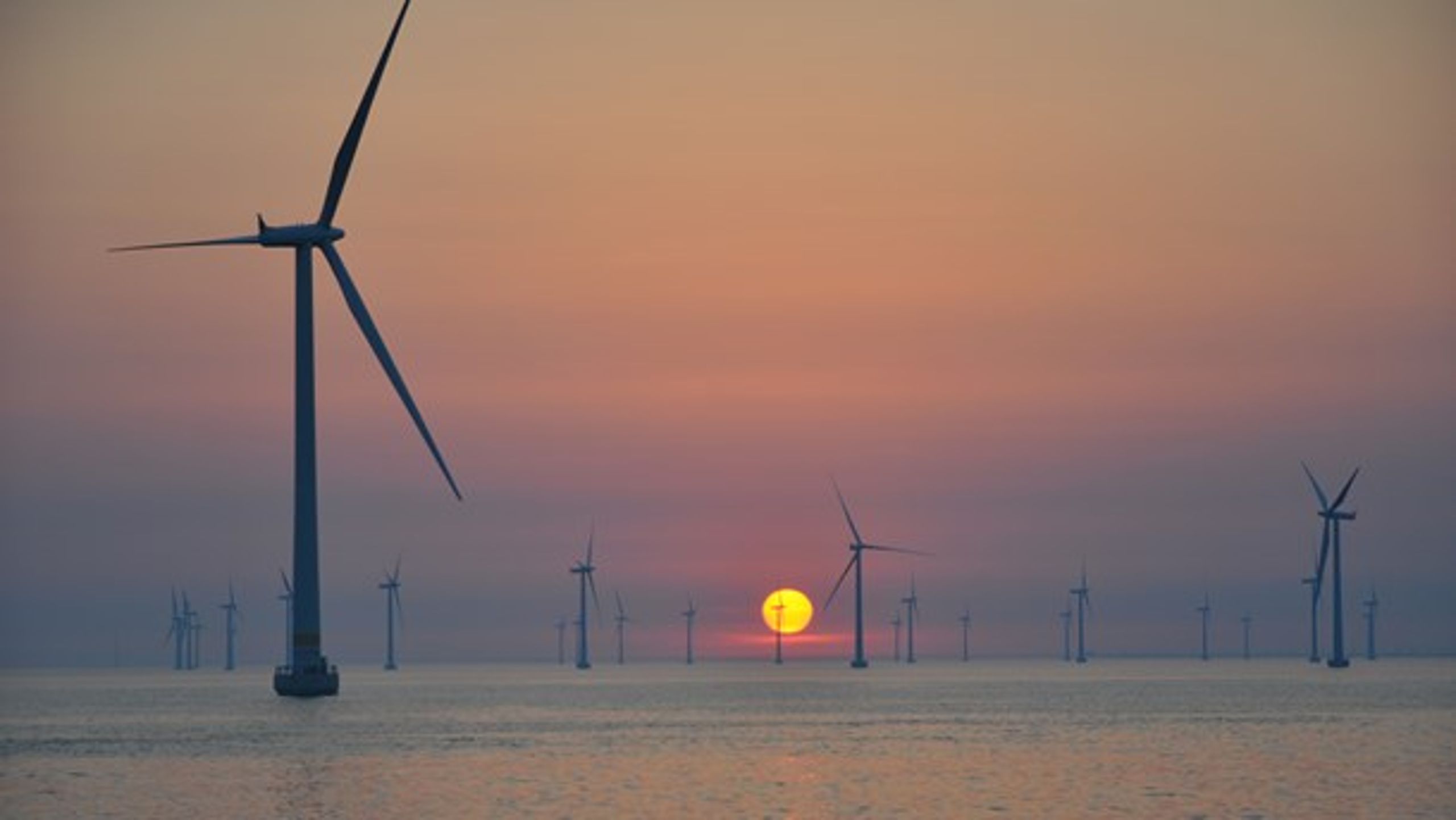 Nu må det handle om, at der hurtigst muligt bliver sat en holdbar politisk retning for energispareordningen i Danmark, skriver Kamilla Thingvad fra Dansk Energi.