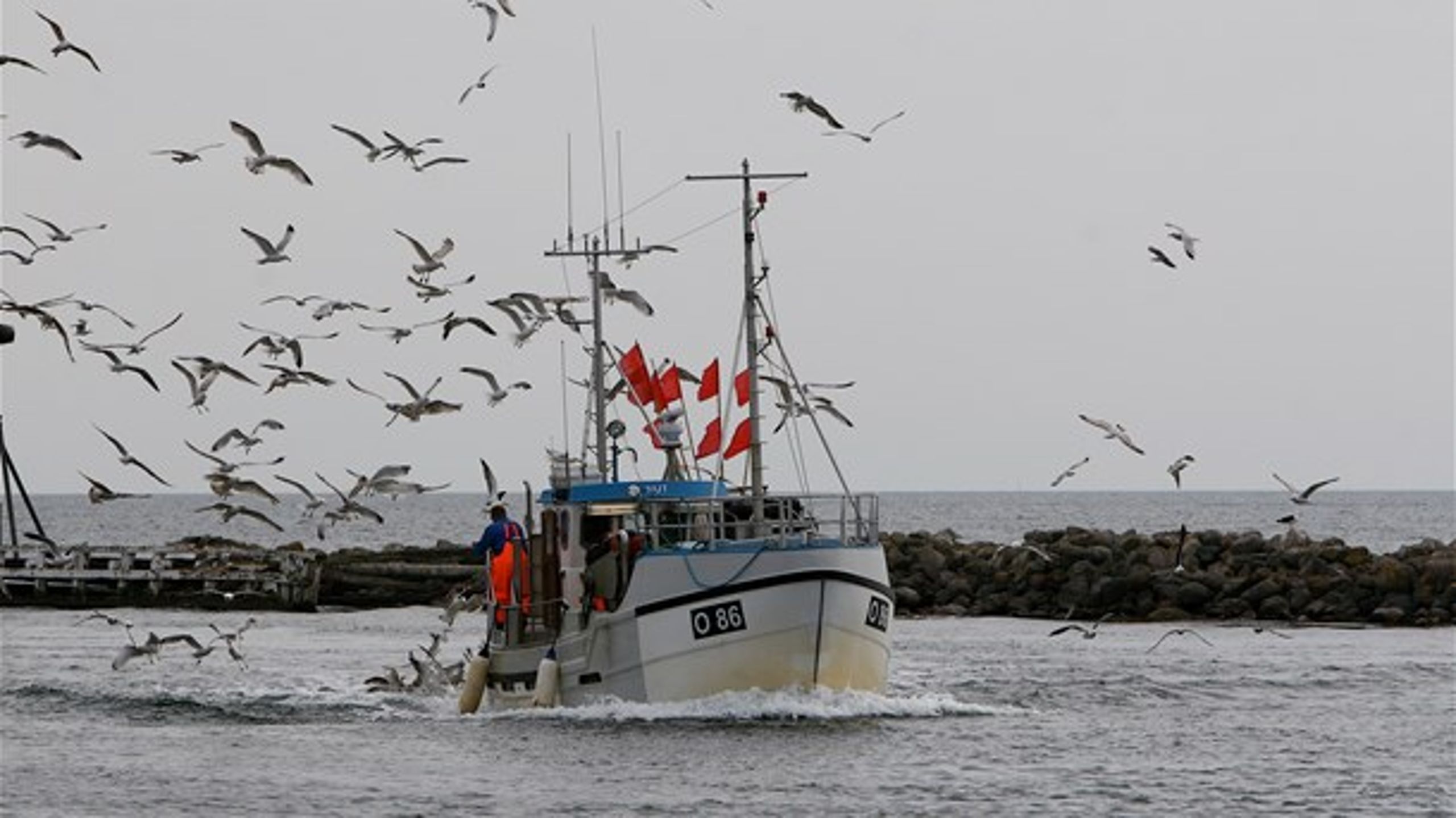 Reglerne om landingsforpligtelse indføres løbende. Første del af discardforbuddet kom i 2015, mens senest i 2019 vil alle fiskerier i EU-farvande være omfattet af discardforbuddet, skriver Landbrugs- og Fiskeristyrelsen.