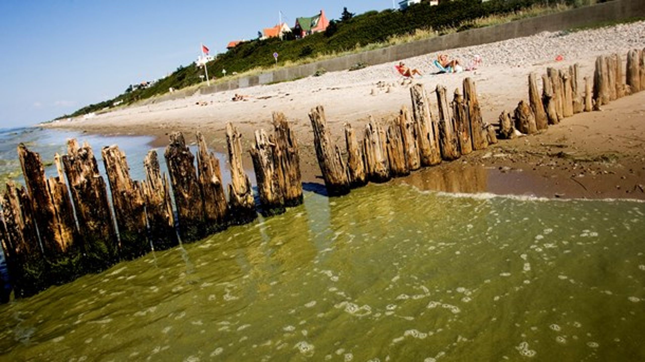 Danmark er indirekte med til at skade vandmiljøet i Østersøen, mener Steen Gade.