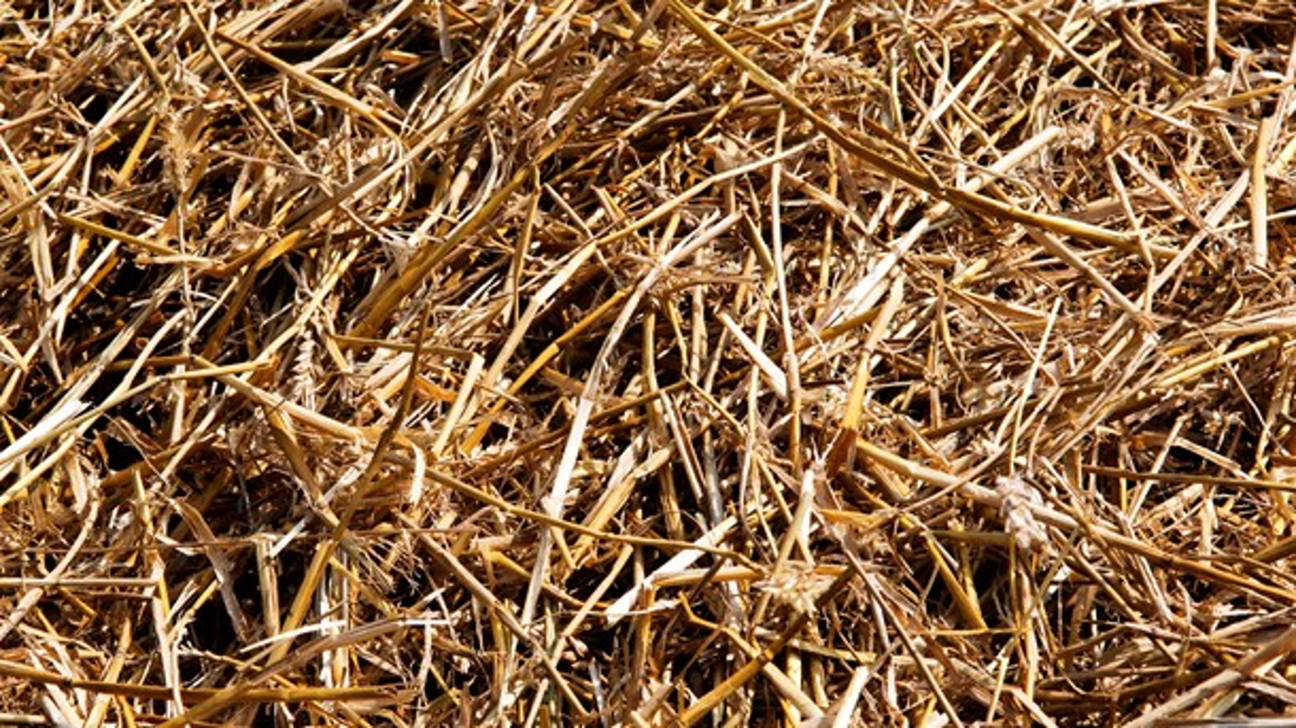 Dansk biomasse produceres og anvendes på en bæredygtig måde i Danmark.