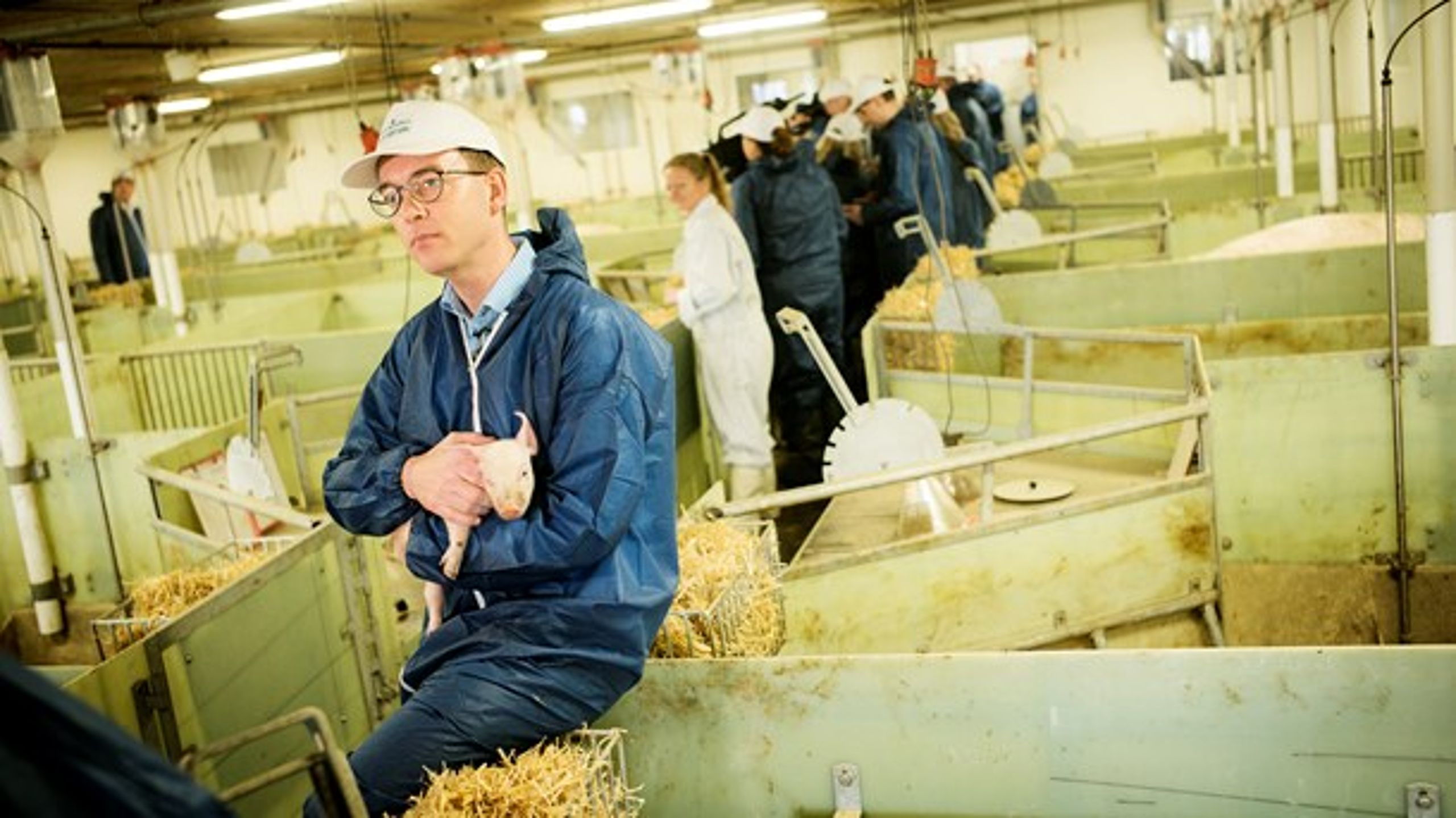 Forbruget af antibiotikummet colistin til grise har været stigende de senere år, og det bekymrer fødevareminister Esben Lunde Larsen (V). Han har derfor besluttet at lade det kritiske antibiotikum vægte tungere i landmændenes medicinregnskab.