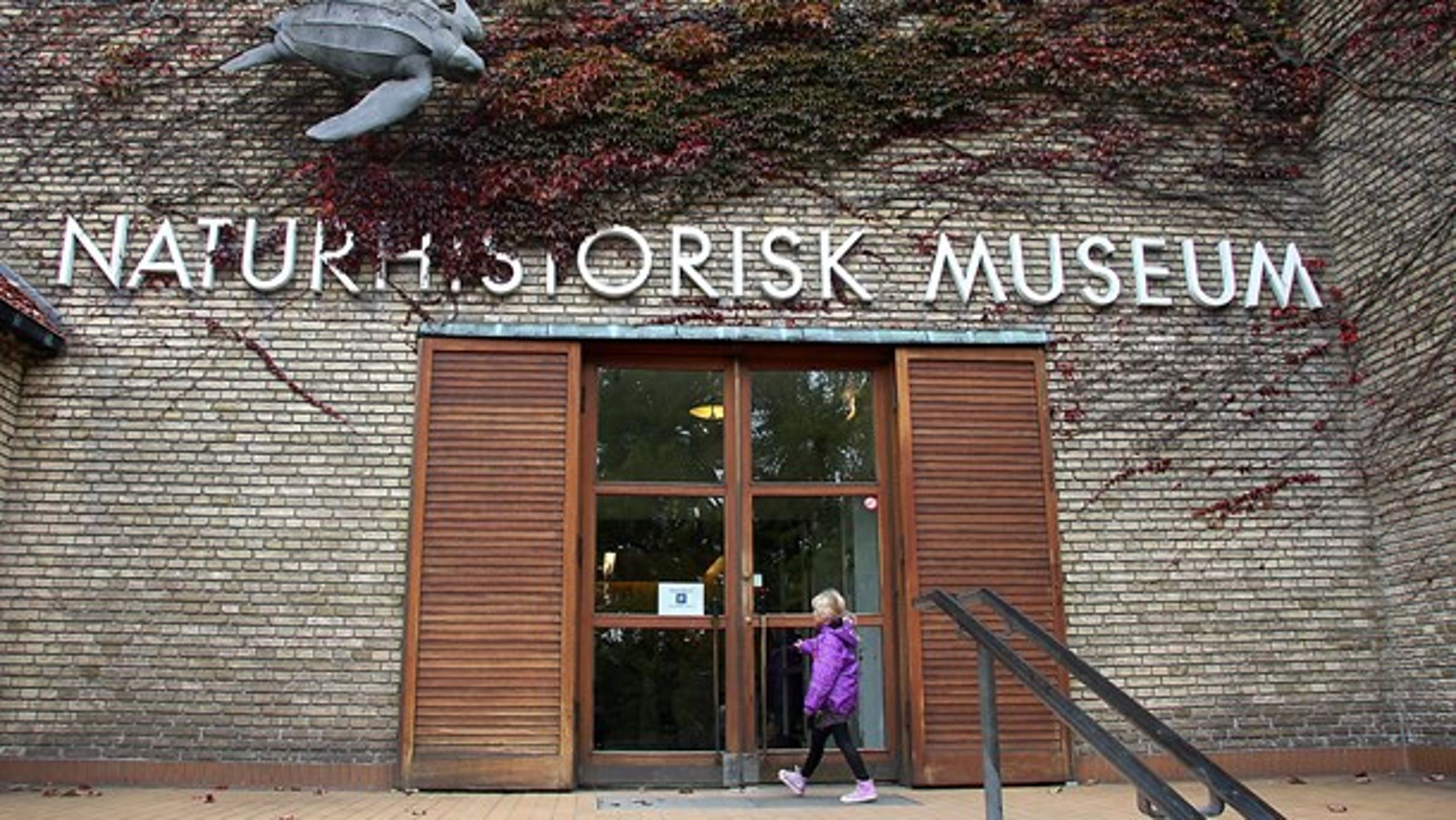 Naturhistorisk Museum i Aarhus kan måske se frem til at få tildelt mere støtte på bekostning af kunstmuseer. Alligevel bør museerne stå sammen, mener direktøren.