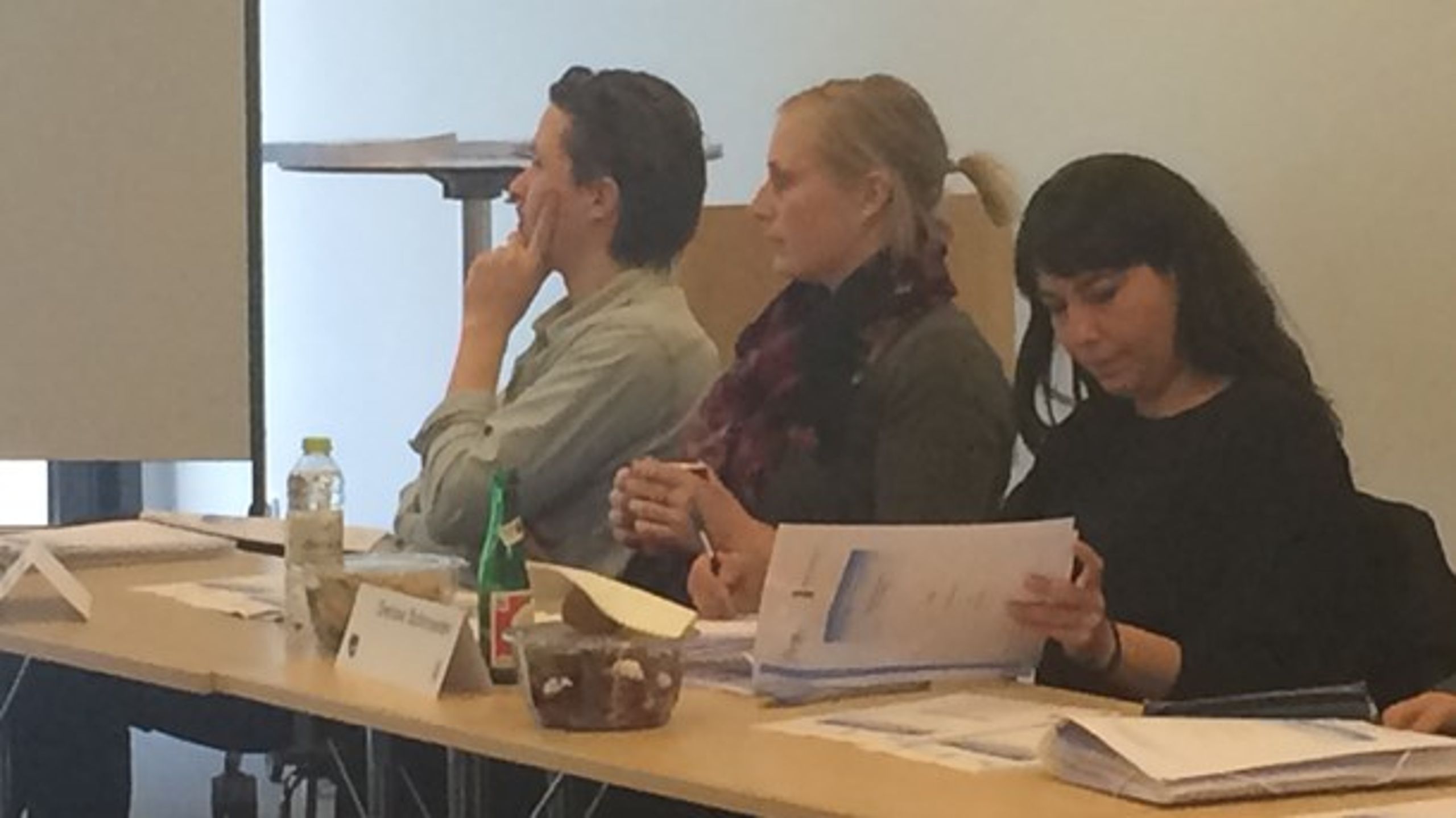 Denise Schroeder (th) og Johanne Snog Gillesberg (i midten) har fået to af de 20 populære pladser på træningsforløbet til EU's ansættelsesprøve&nbsp;i København.