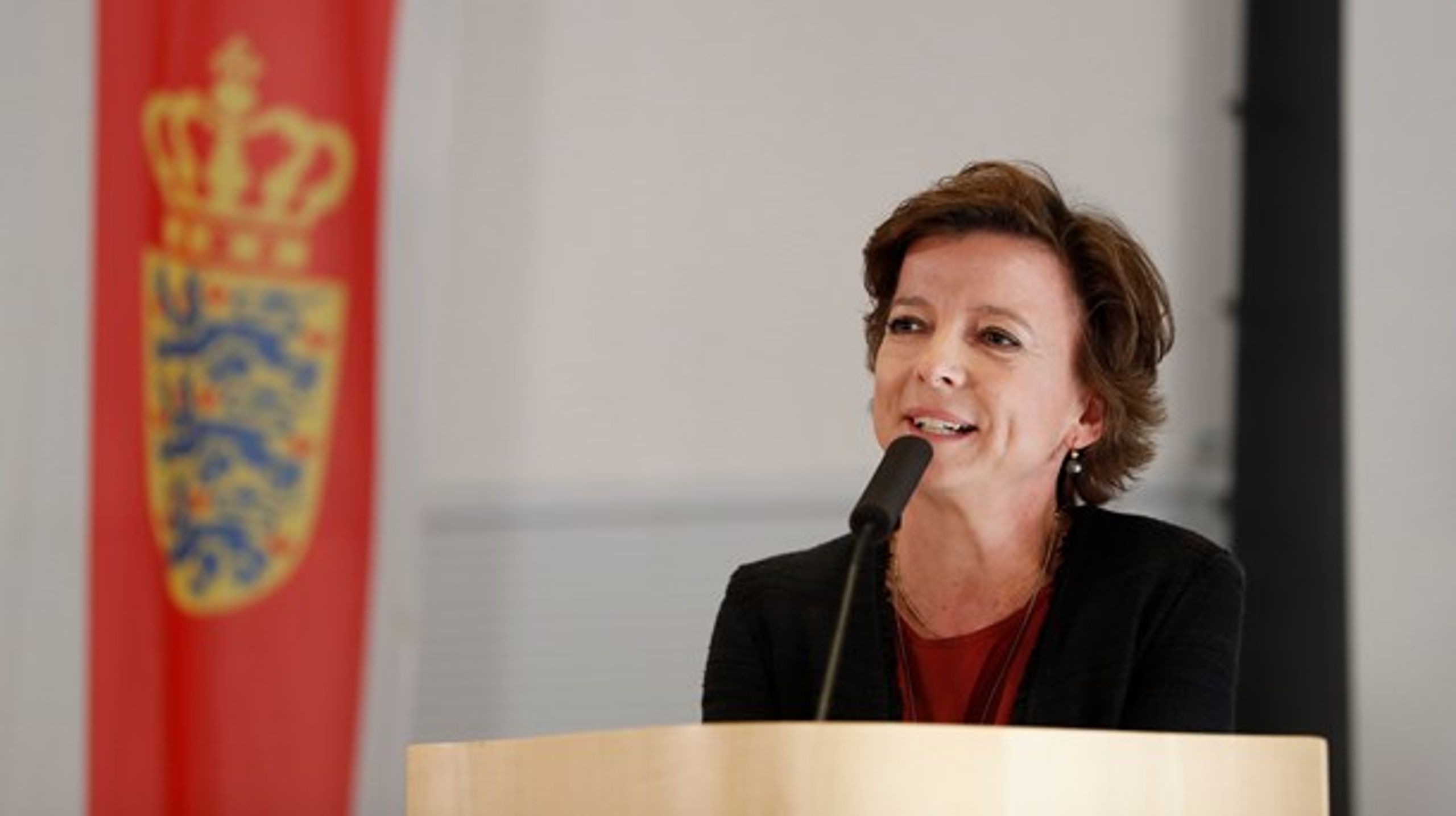 Karen Ellemann (V) er foruden fiskeriminister også minister for ligestilling og nordisk samarbejde.