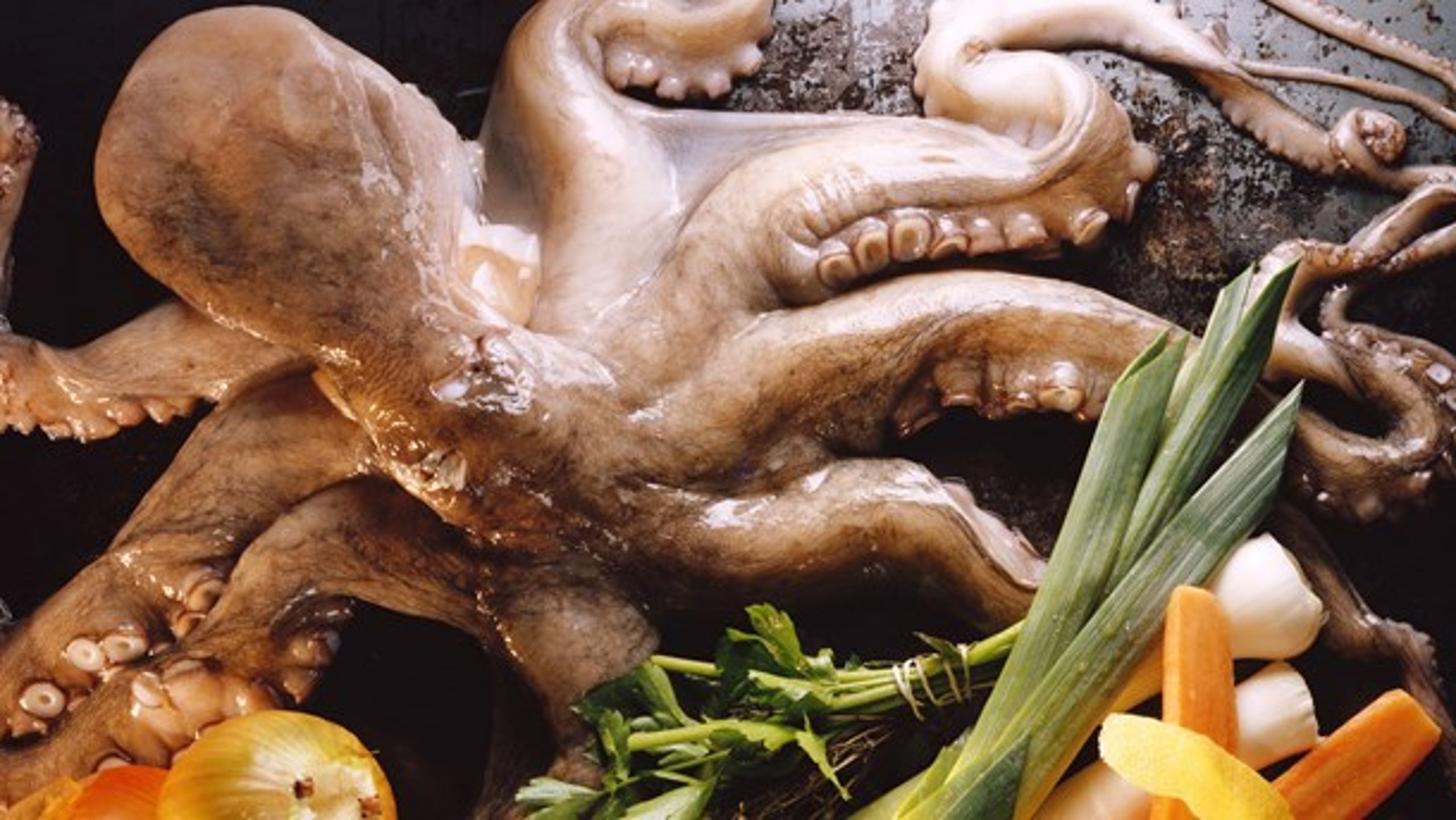 MANGFOLDIGHED: Karteldannelse mindsker variationen af 'havets frugter', som f.eks. delikat blæksprutte.