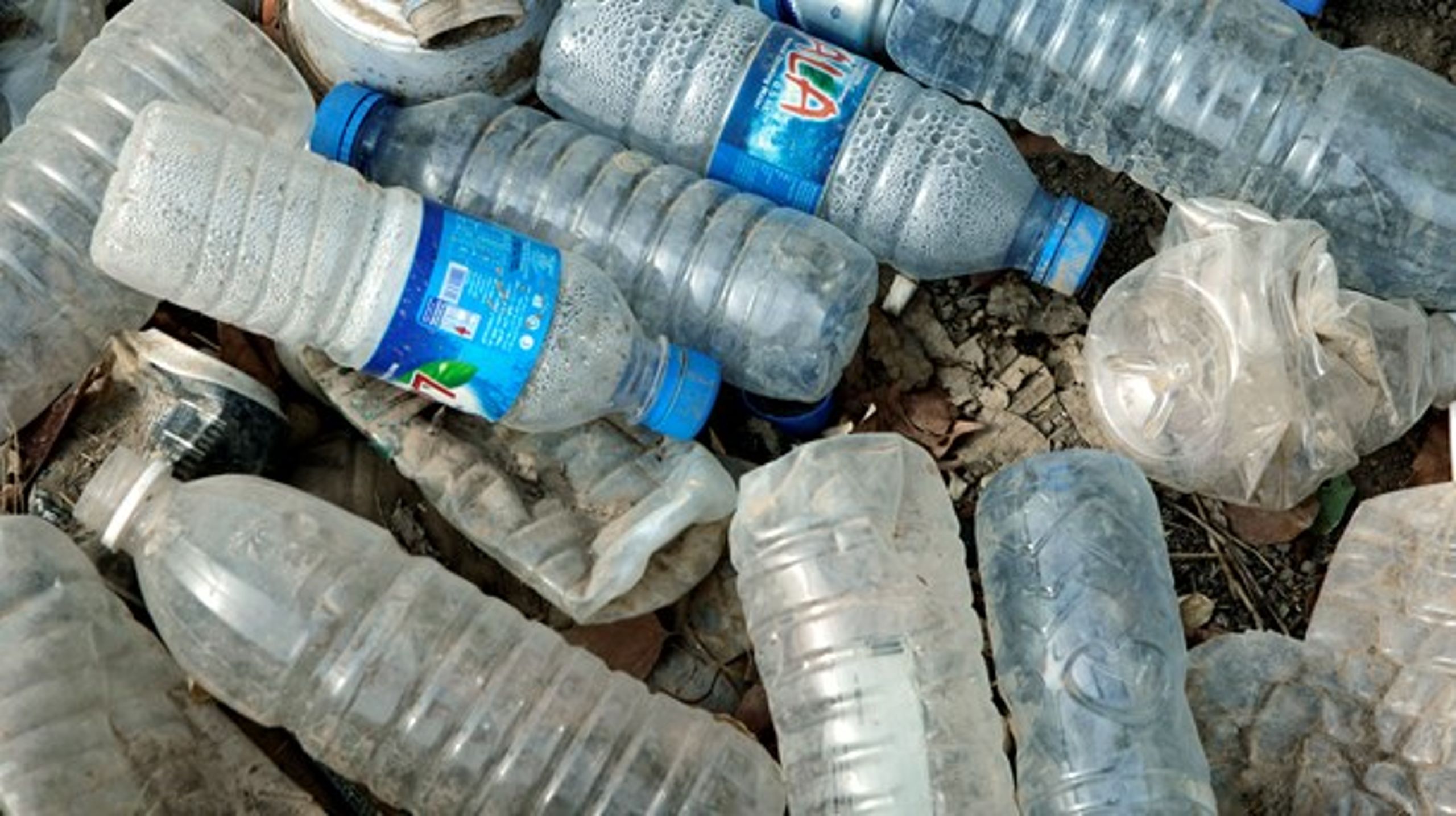 Vi skal tvinge&nbsp;industrien til at tage ansvar for sine produkter, for eksempel ved at lægge plant på plastflasker.