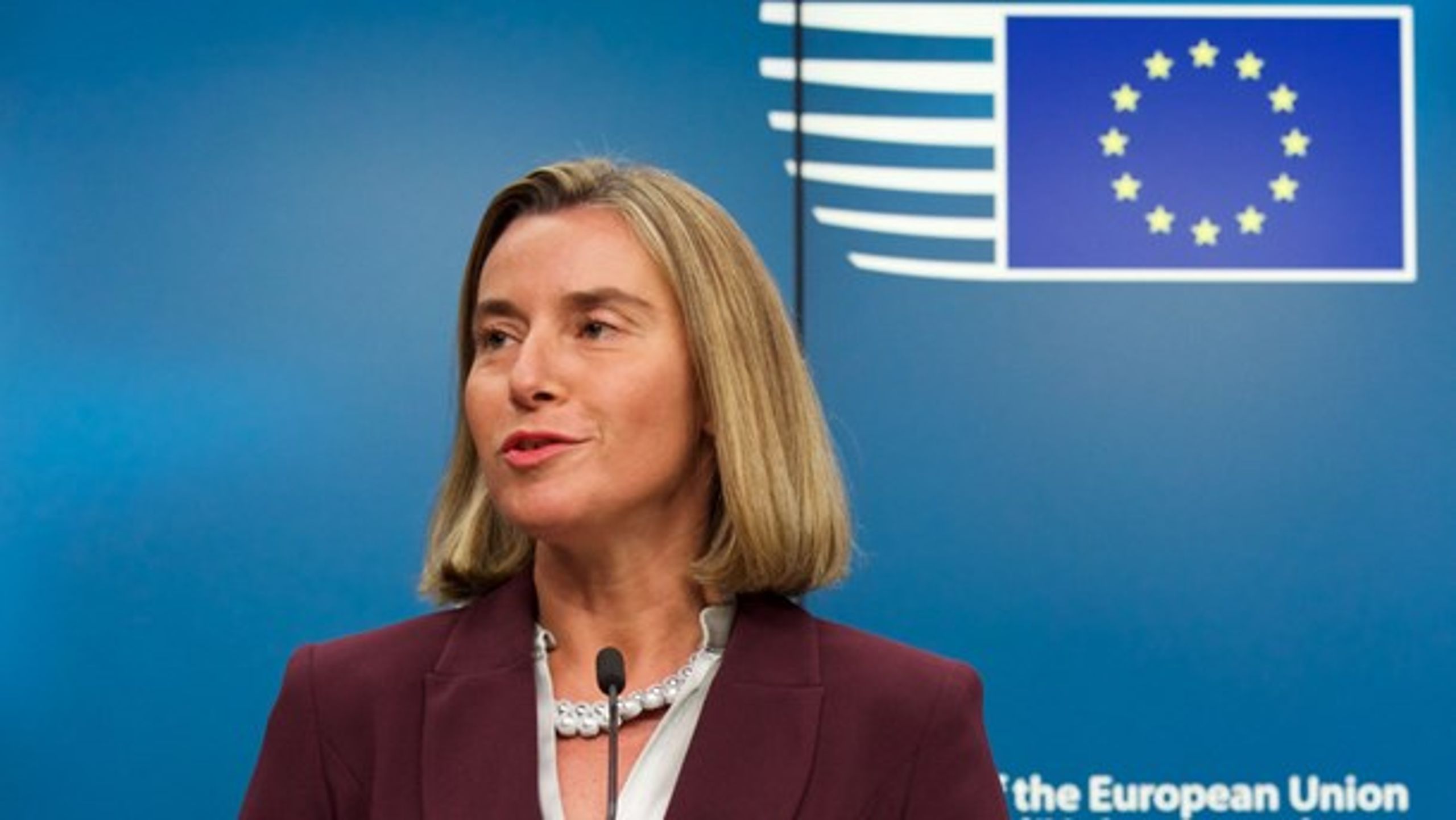 EU's udenrigschef, Federica Mogherini, lægger pres på EU-landene for, at de skal punge op til indsatsen mod misinformation og propaganda.