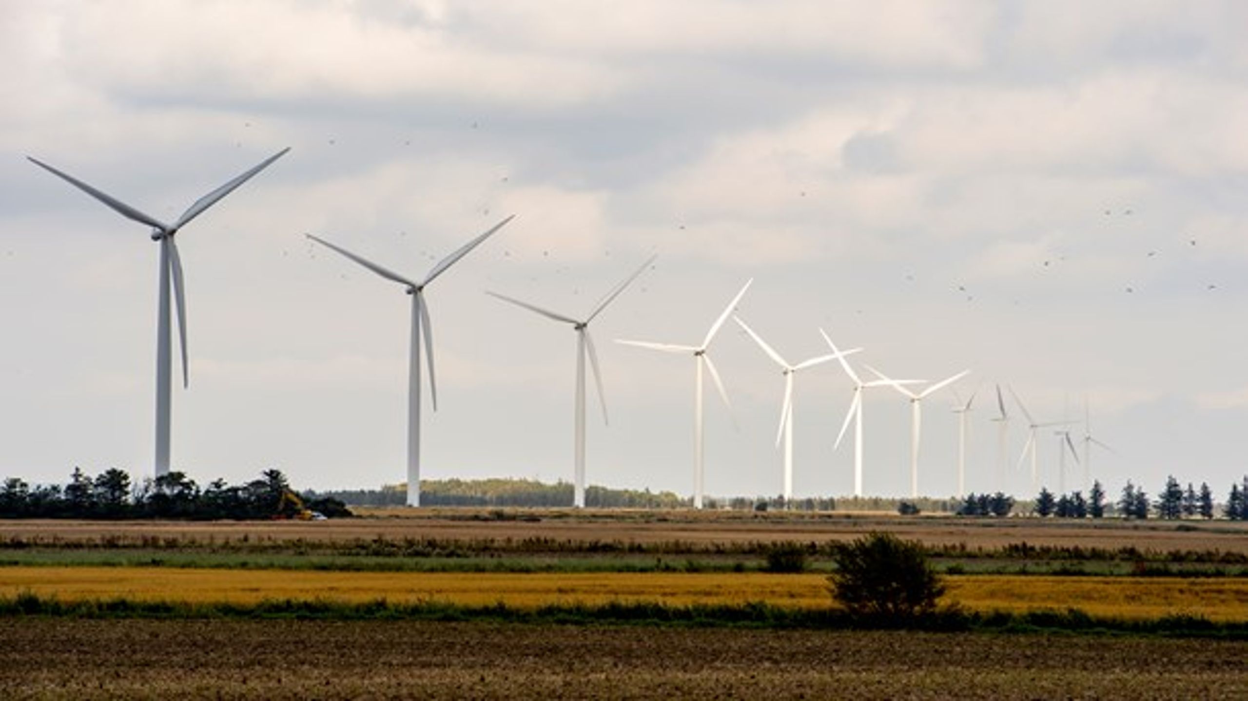 Det går hurtigere med udbygningen af landvindmøller end det var forventet i energiaftalen fra 2012, viser ny opgørelse fra energiministeren. Her vindmøller i Vesthimmerland.