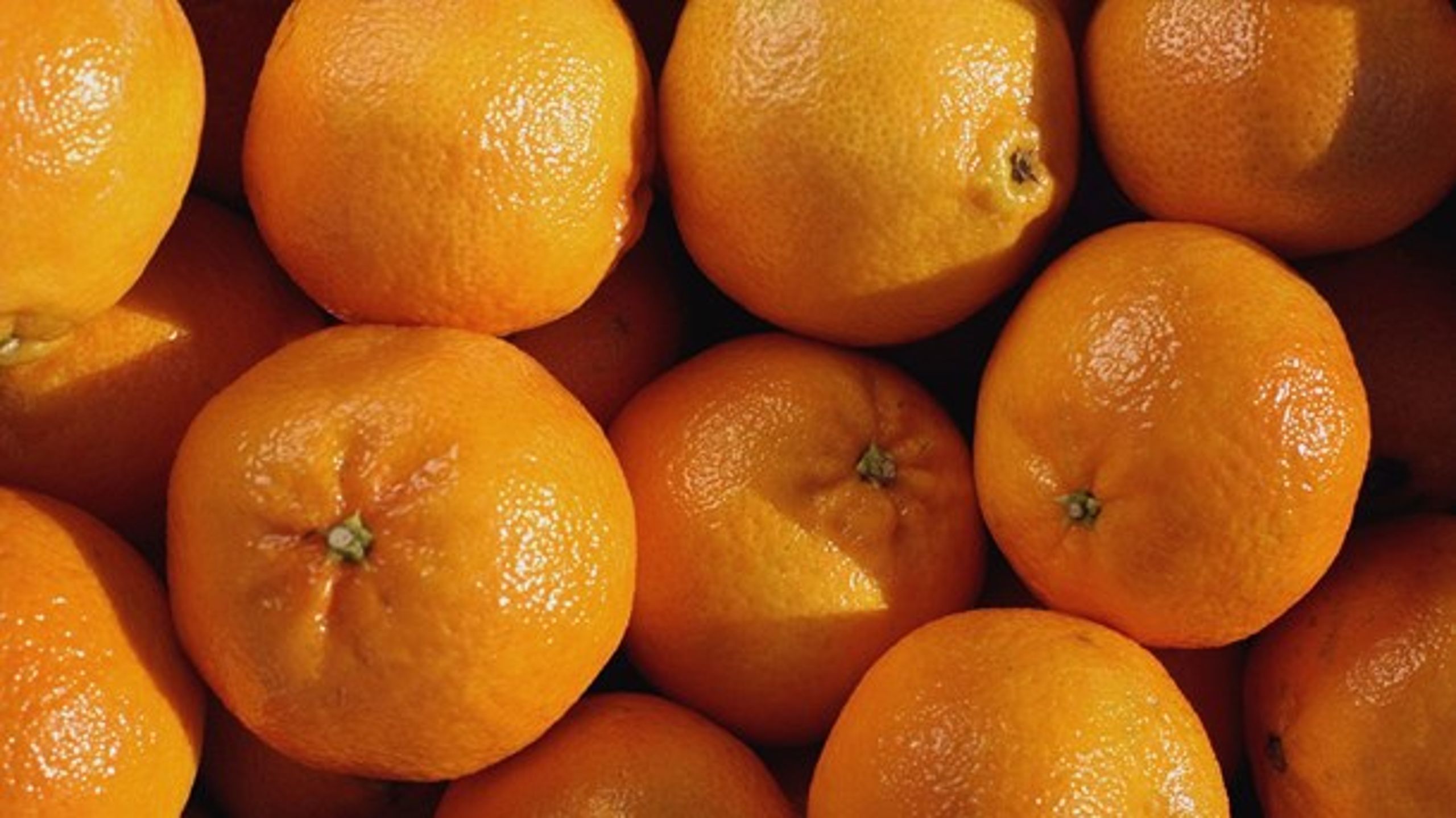 Klementinerne er ét eksempel på, at produktion uden skrappe pesticider går hånd i hånd med sund fornuft, skriver Camilla Udsen.