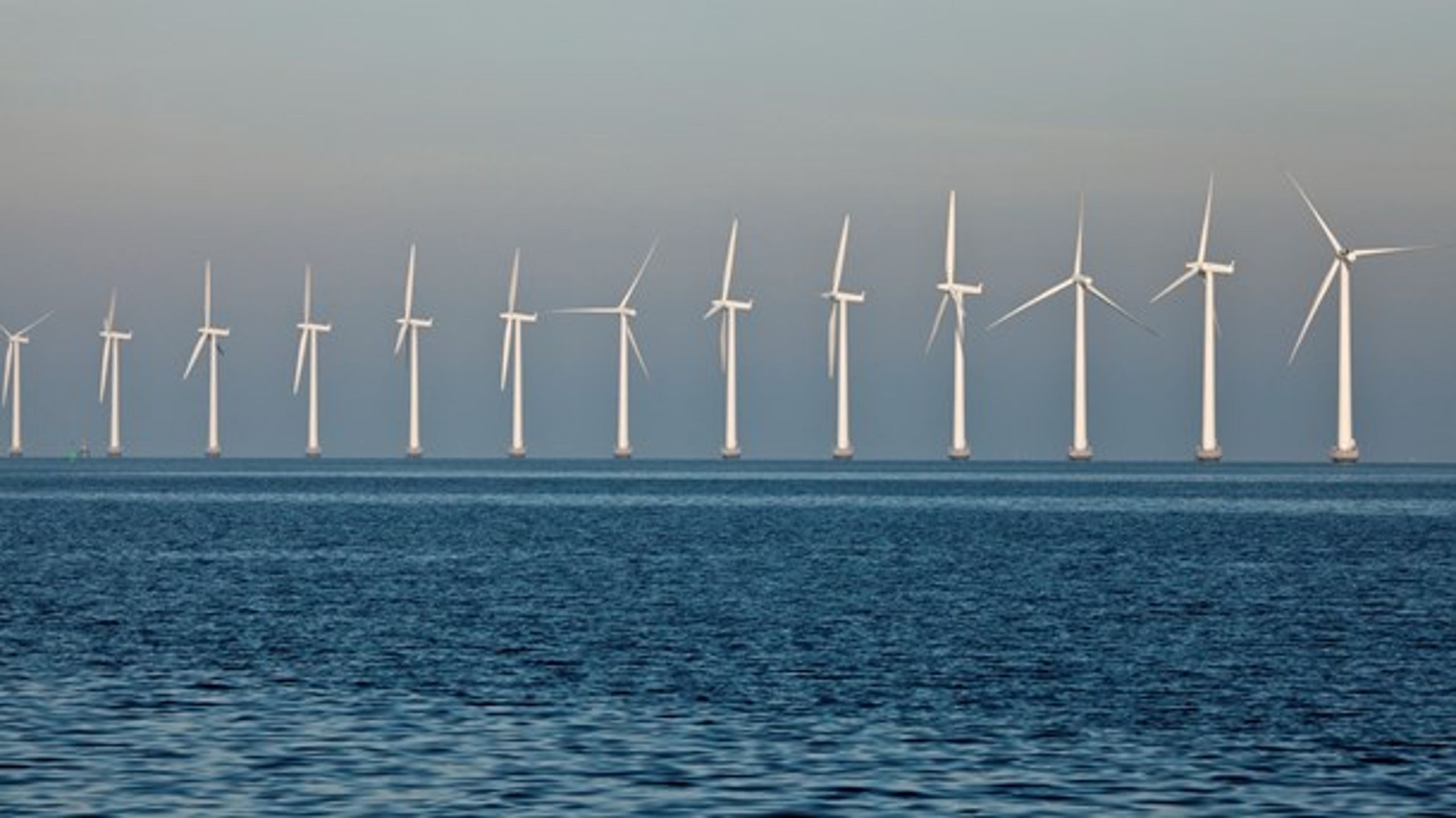 Danmarks iver efter at eksportere el fra vindmøller har taget overhånd, mener forsker fra Københavns Universitet.