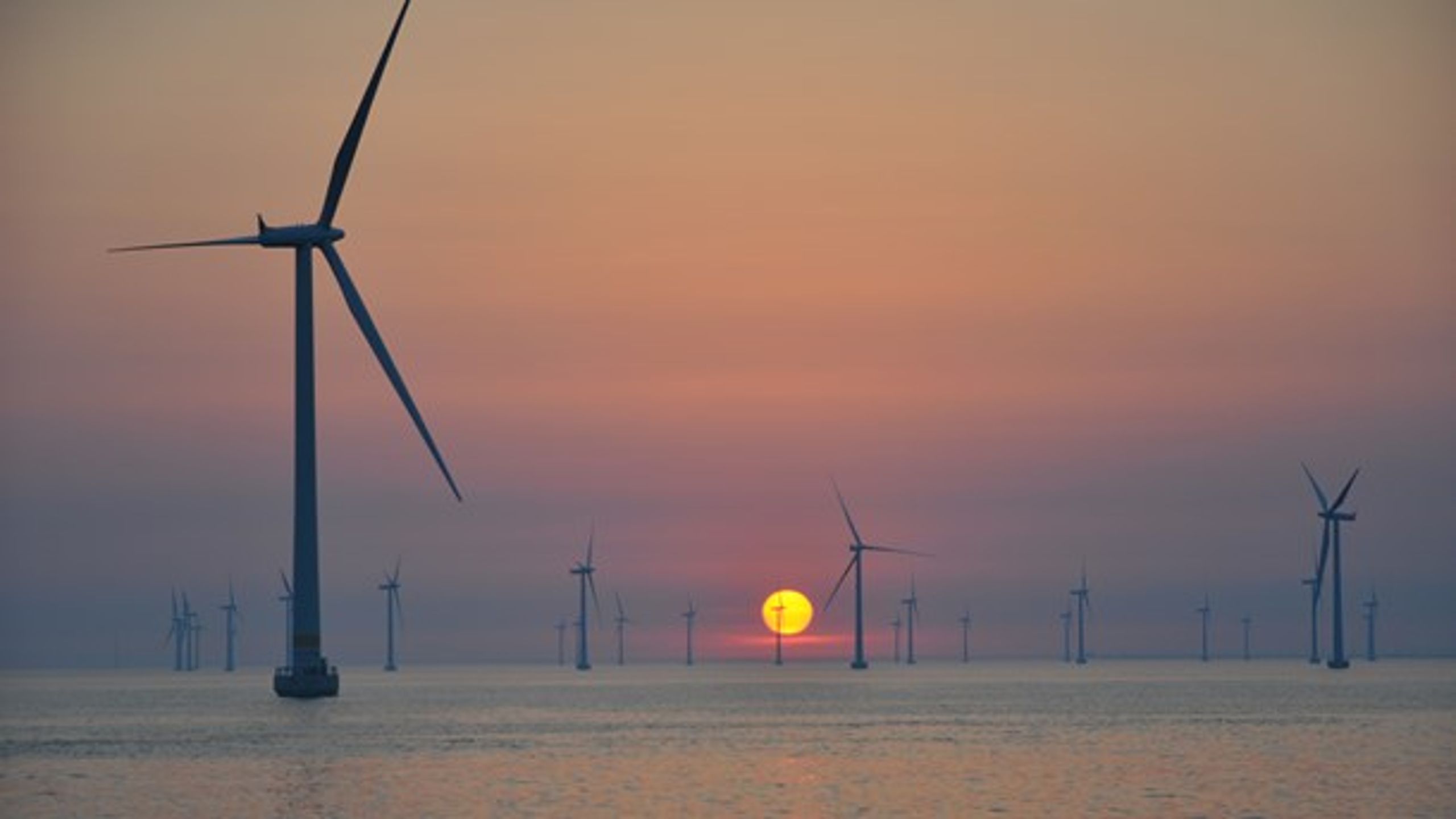 <i>Fremtidens energiforsyning
skal baseres på vind, sol
og geotermi, mener Danmarks Naturfredningsforening.&nbsp;</i>