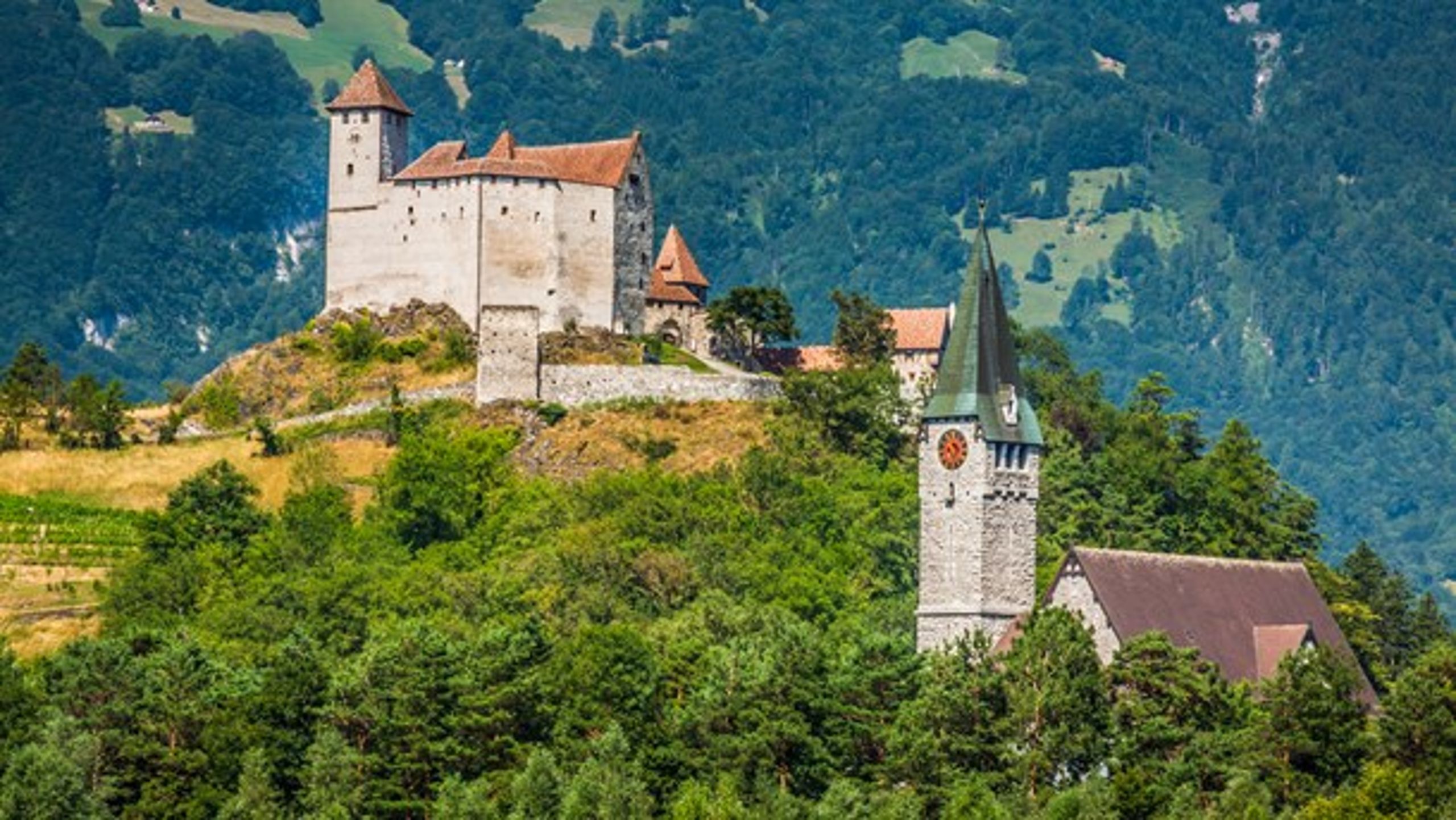 <b>VELHAVERPARADIS:</b> Liechtenstein&nbsp;er af EU-myndighederne sat på en særlig observationsliste for skattely, skriver David Trads.