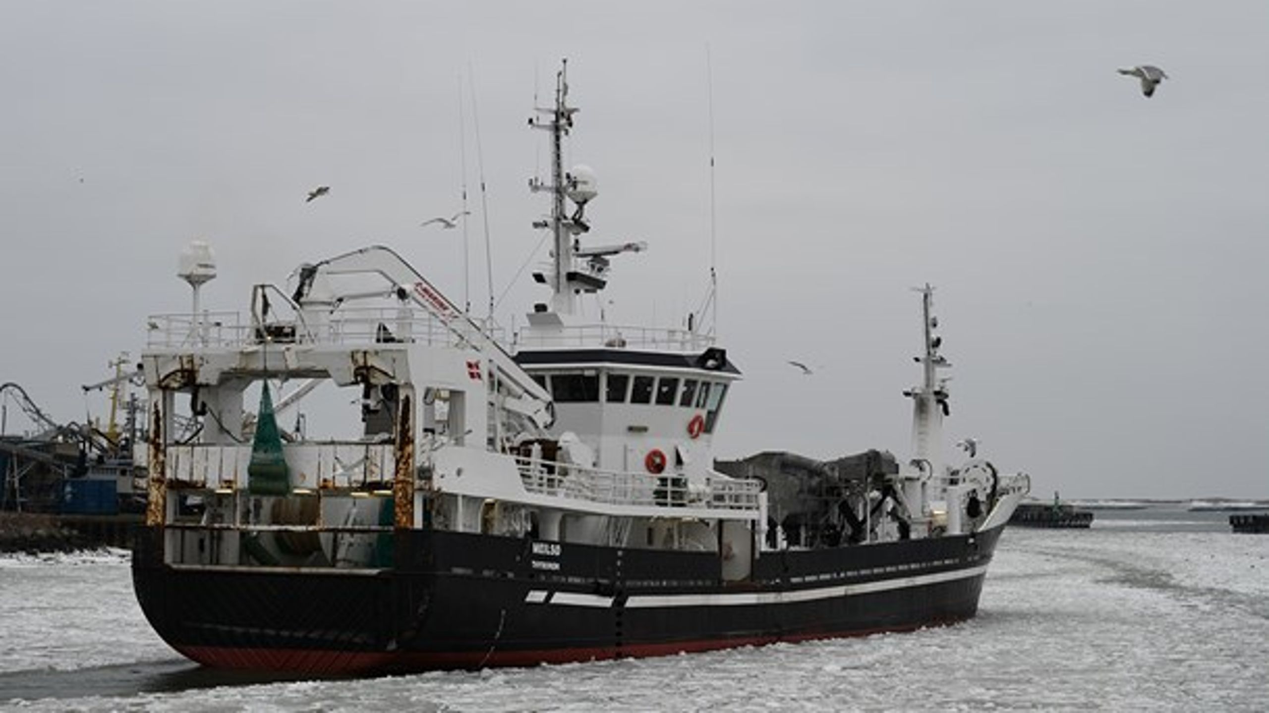 Fiskekutteren Meilsø bryder gennem isen for at komme til søs. Ombord er EU's chefforhandler for Brexit, Michel Barnier.