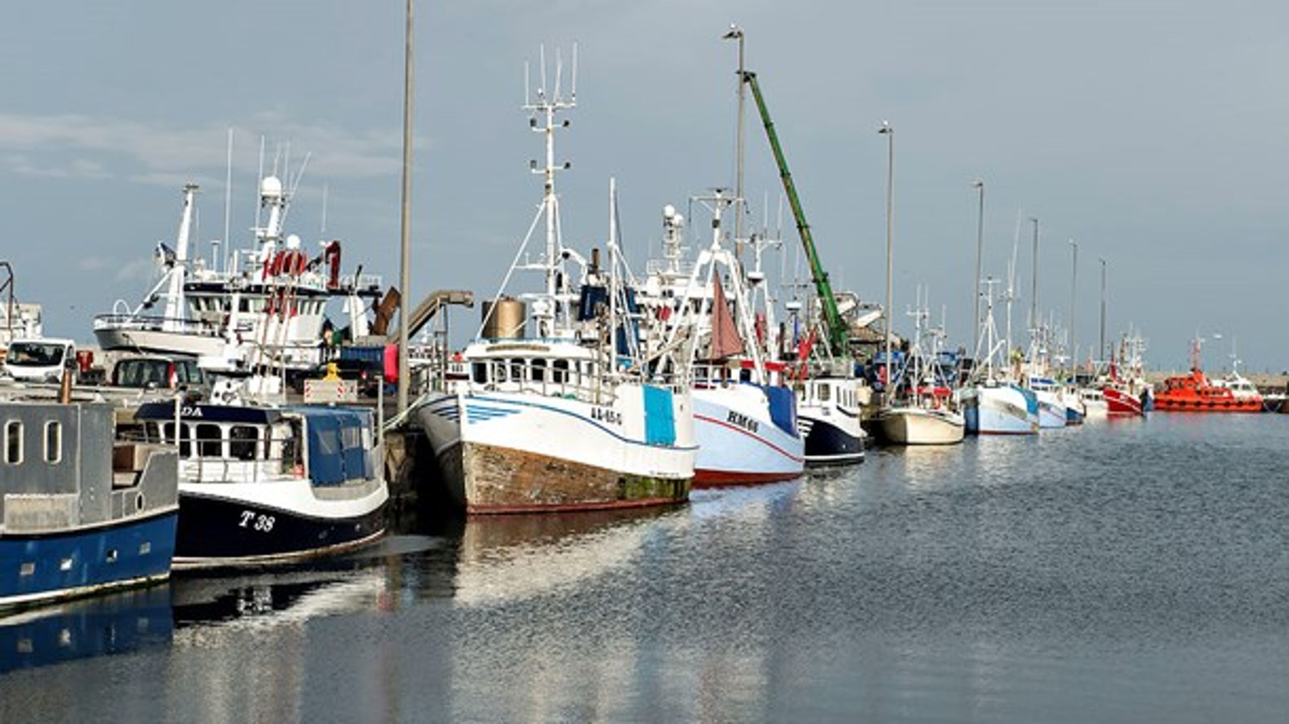 Det er desværre&nbsp;langt fra alle fiskere, der overholder forbuddet mod trawlfiskeri i Øresund, skriver&nbsp;Magnus Eckeskog fra Greenpeace.<br>