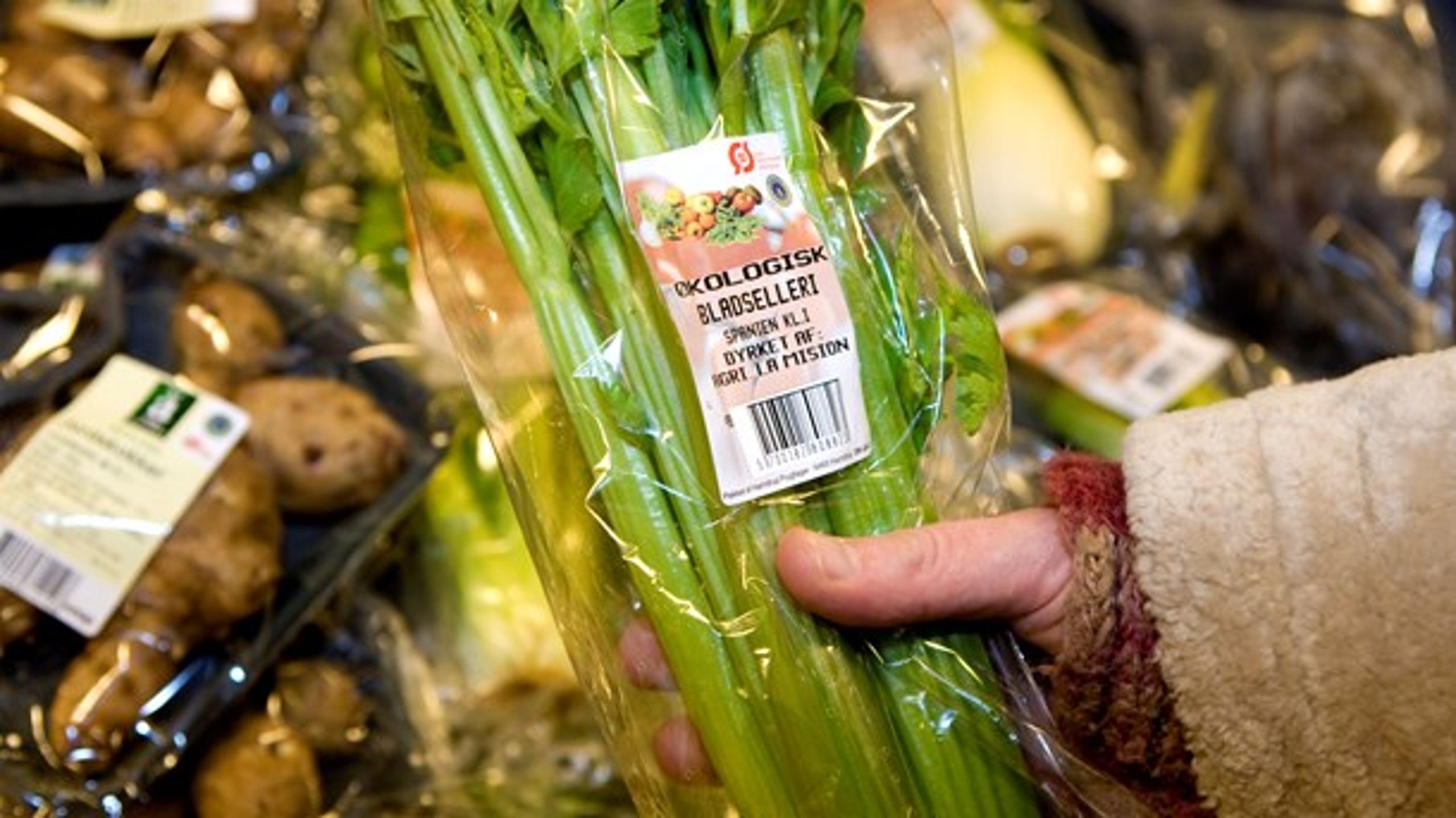 Hvis flere danskere fremover vælger grøntsager frem for kød i supermarkedet, så har det stor gavn for både kloden og den enkeltes sundhed, skriver&nbsp;<span>Caroline Victoria Christensen.&nbsp;<br></span>
